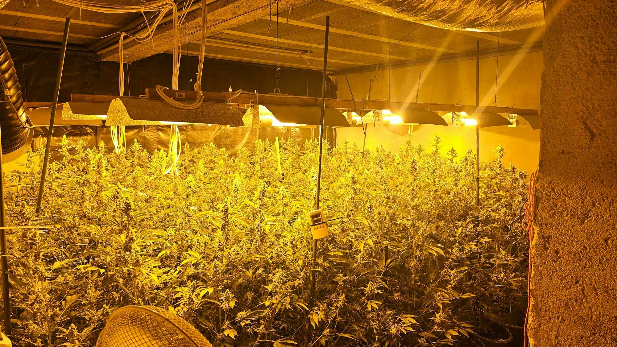 Schlag gegen Drogenring