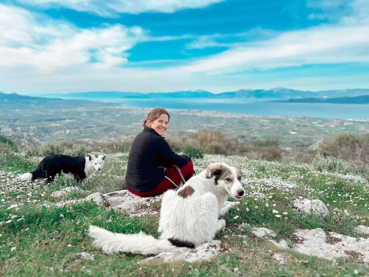 Sarah Fink ist Tiertrainerin aus Bad Fischau-Brunn. Gemeinsam mit Mann Stefan und ihren Tieren lebt sie auf der Kanalinsel Sark.