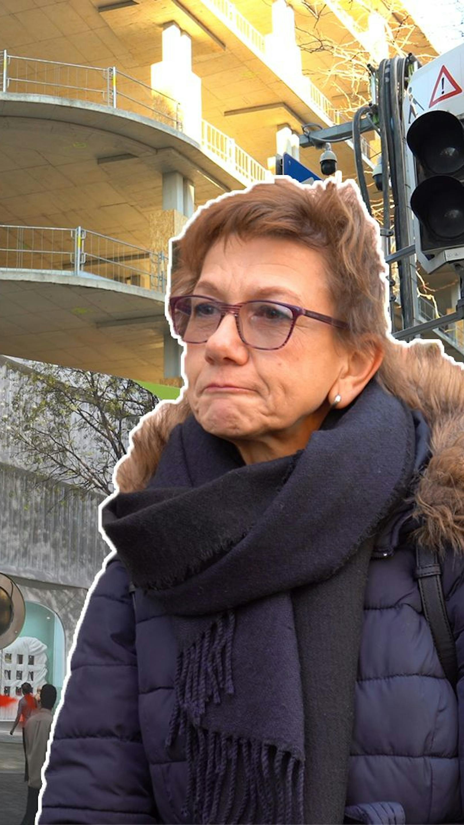 Benko-Pleite: "Wir Steuerzahler müssen dafür aufkommen"