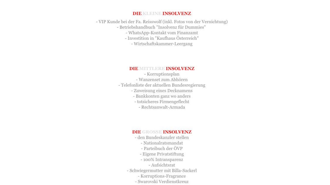 "Österreich ist das beste Land, um Geld zu versenken", verspricht Künstler donhofer. und bot drei satirische Insolvenzmodelle an.