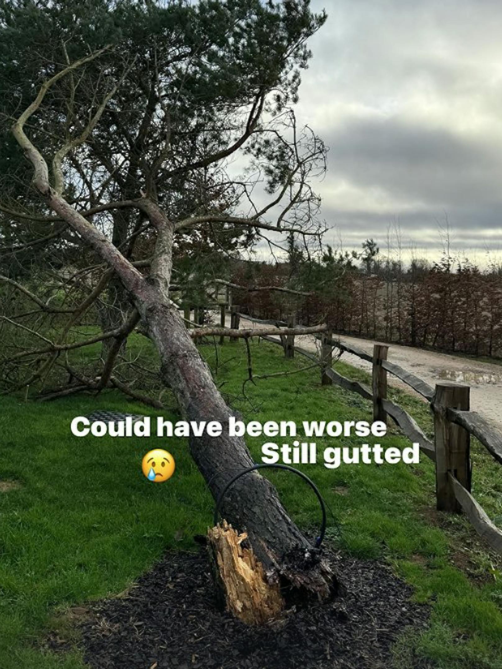 David Beckham beklagt einen umgerissenen Baum, gibt aber zu, das Unwetter hätte ihn schlimmer treffen können.