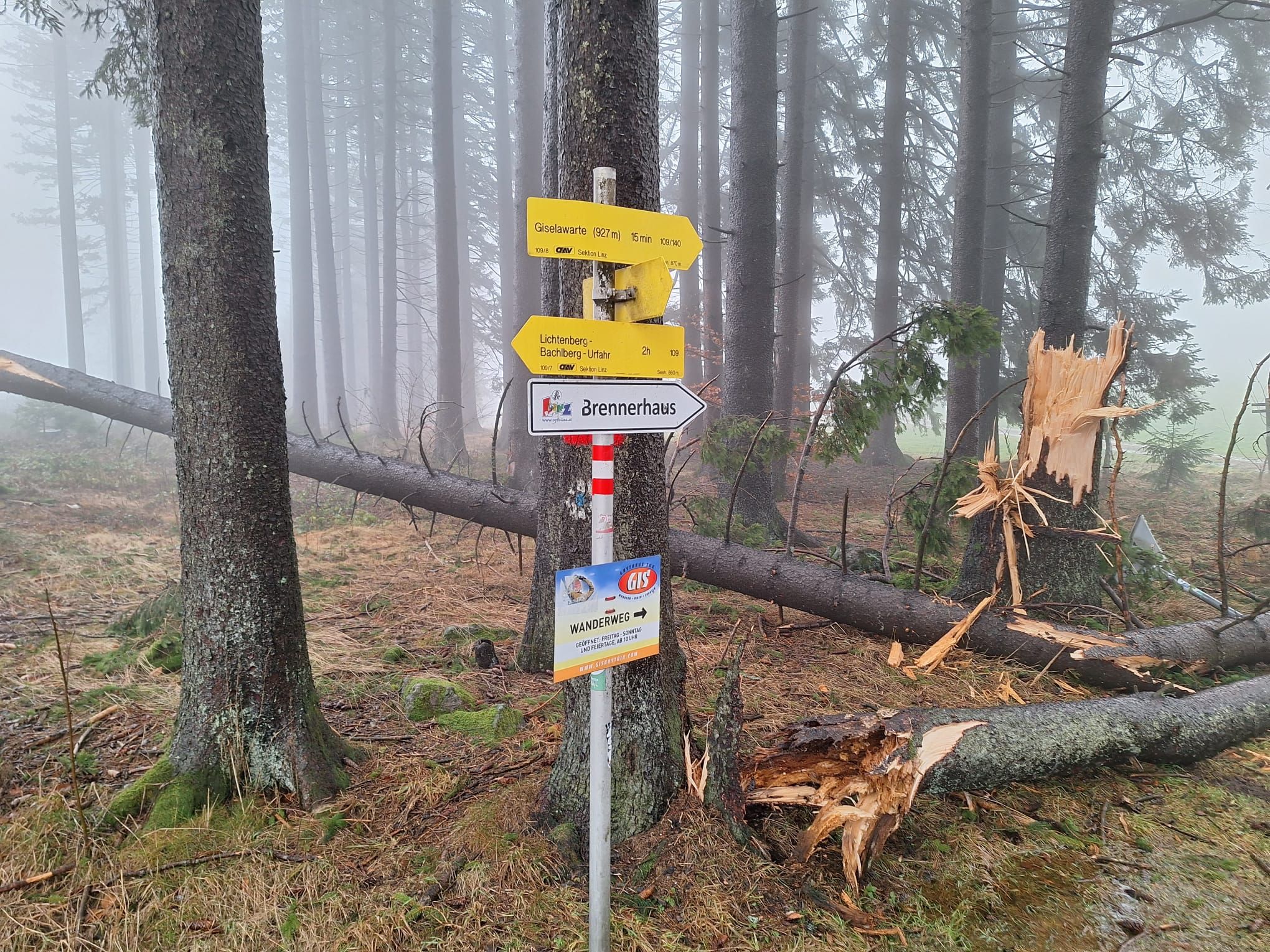 Die Stürme der vergangenen Wochen haben Spuren hinterlassen. Das Foto zeigt den Parkplatz bei der Giselawarte kurz vor Jahreswechsel.