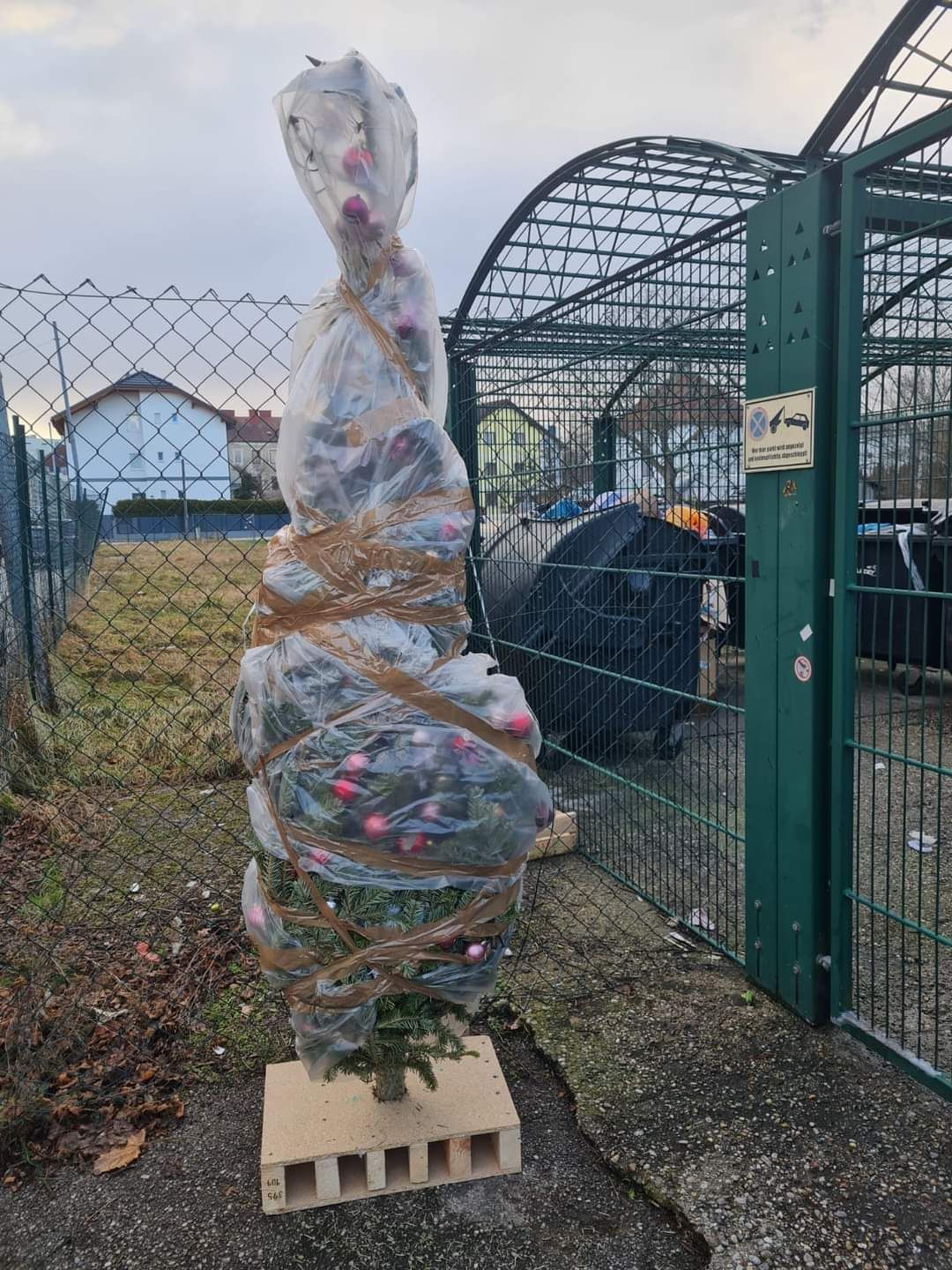 So sollte ein Christbaum nicht entsorgt werden.
