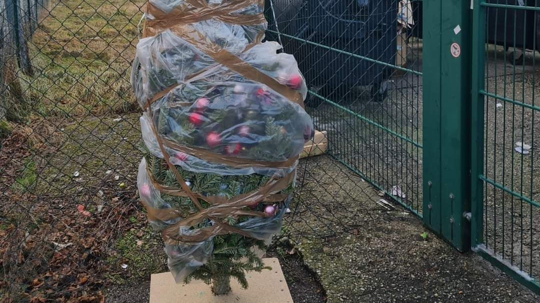 So sollte ein Christbaum nicht entsorgt werden.