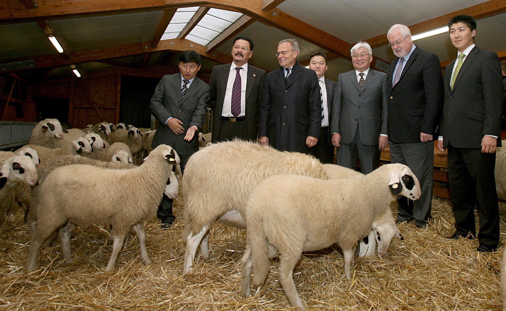 Zweite große Leidenschaft: Nach dem Ausscheiden aus der Firma widmete sich Firmengründer Günther Fielmann der Zucht der Landwirtschaft. Hier sieht man ihn mit Schleswig-Holsteins Ministerpräsident Carstensen und einer mongolischen Delegation.