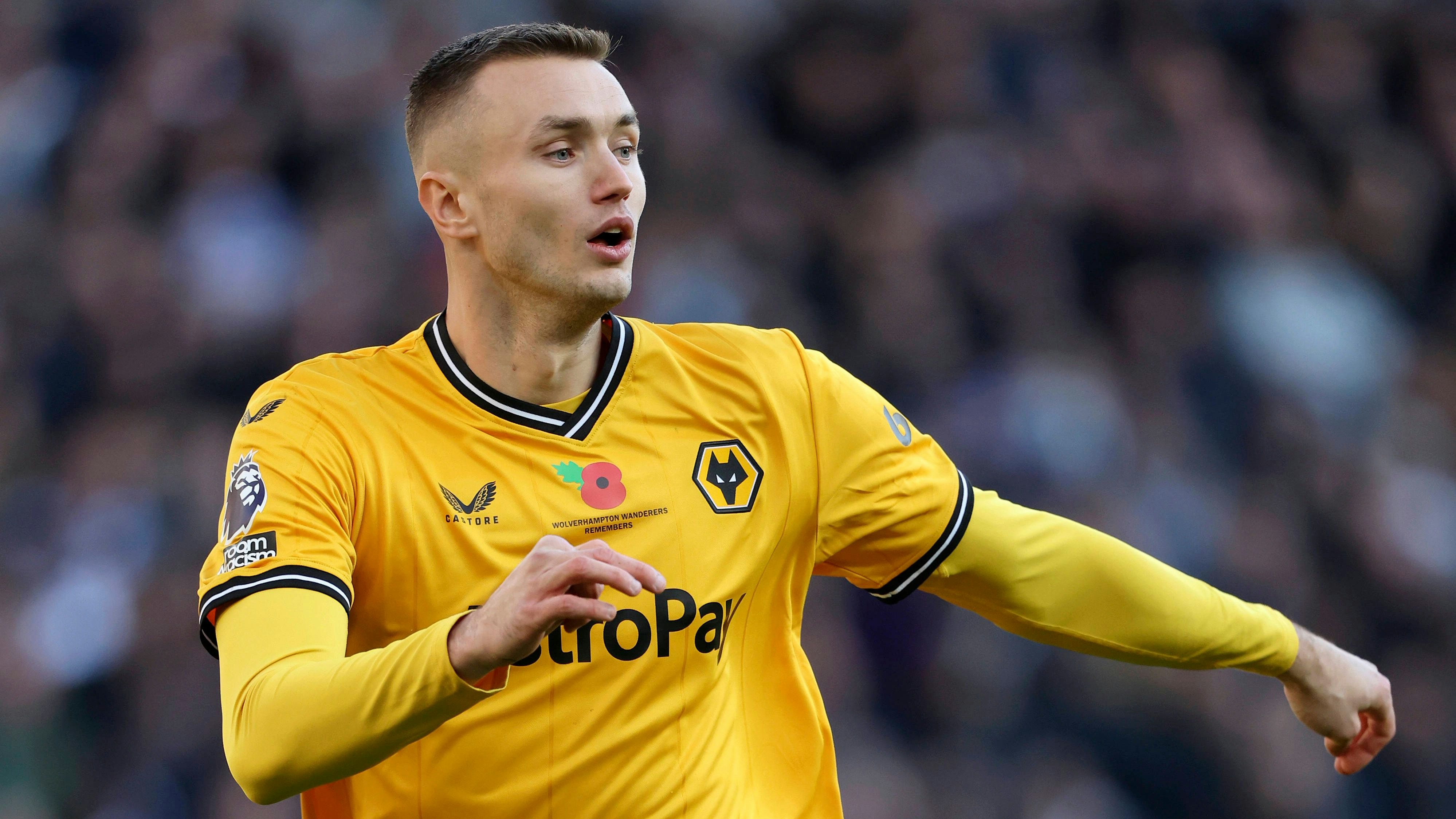 ÖFB-Torjäger Sasa Kalajdzic steht unmittelbar v or dem Sprung in die deutsche Bundesliga. 