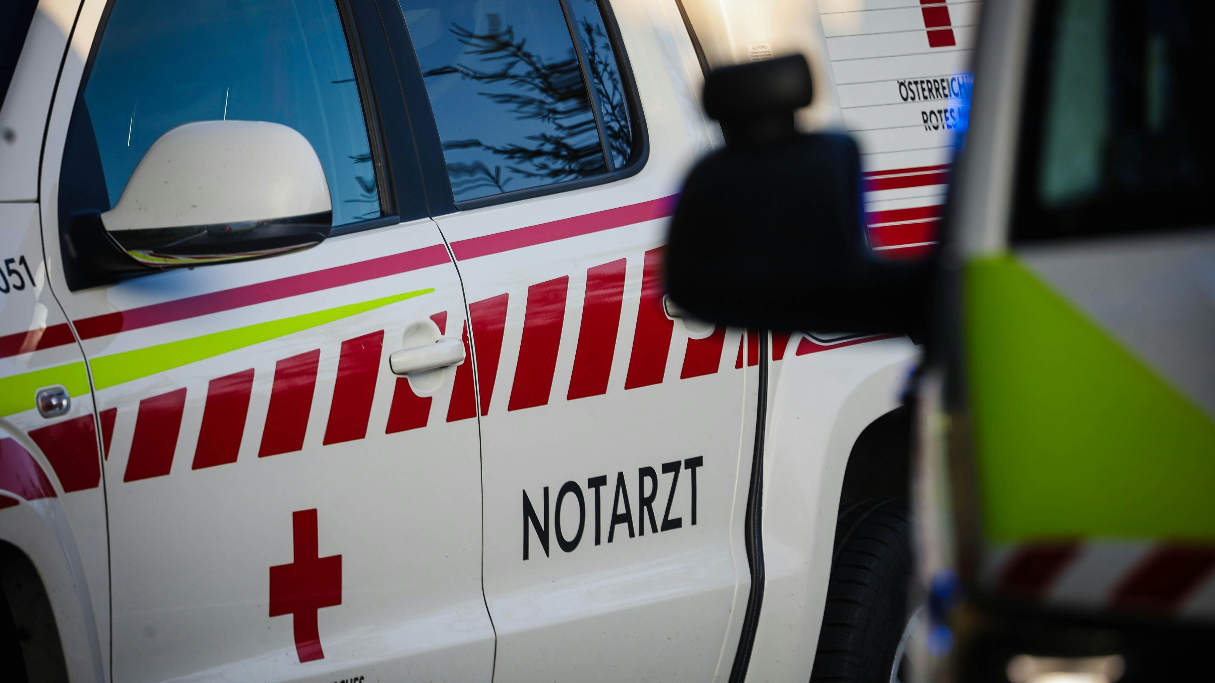 Heute.at - Neuer Todesfall – Mann stirbt nach Wespenstich