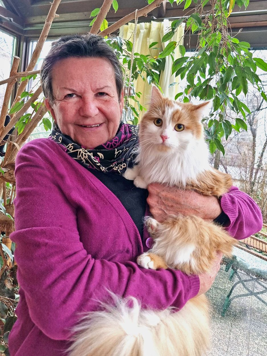 Kater Carlo aus Küchenzeile von Feuerwehr befreit