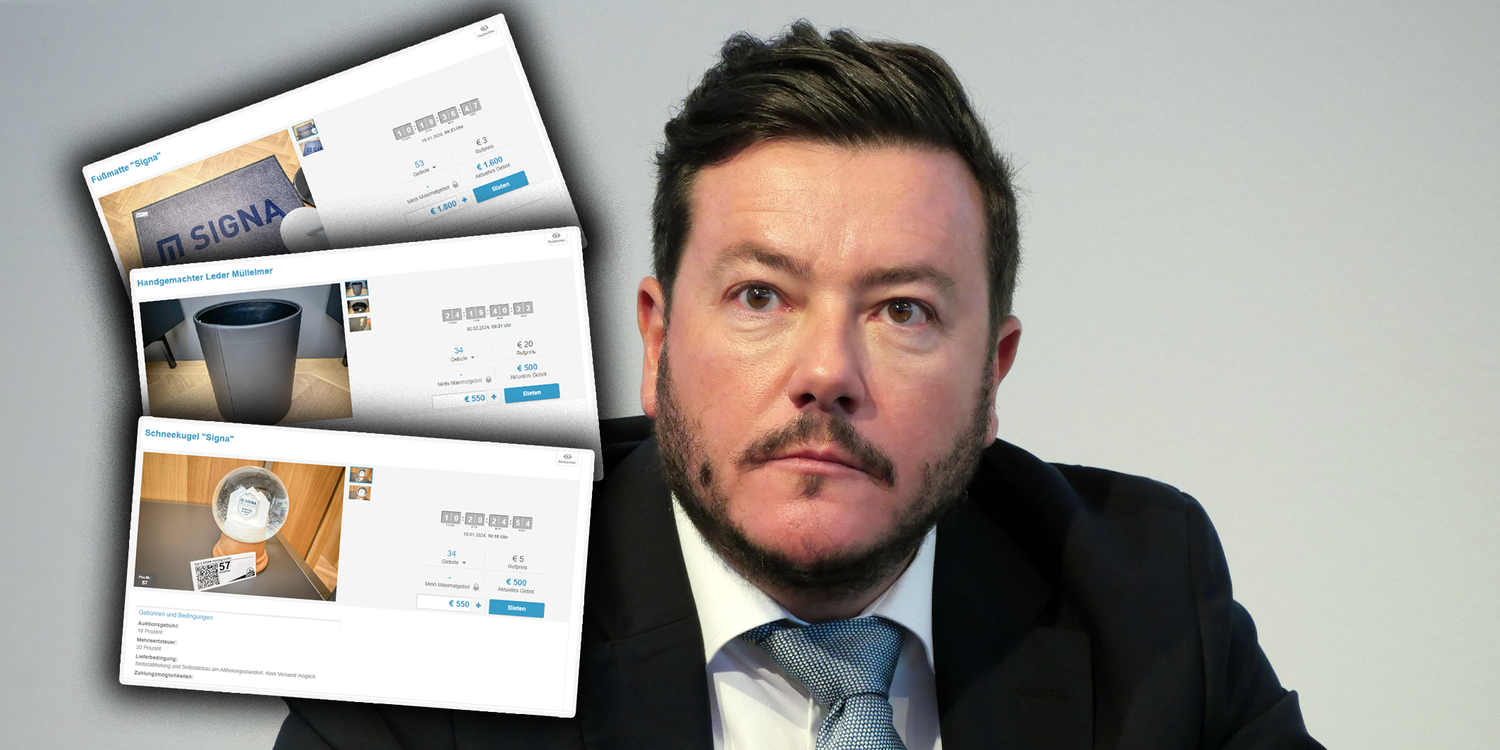 Eine Wienerin wundert sich über einige Online-Gebote der aktuellen Signa-Auktion. 