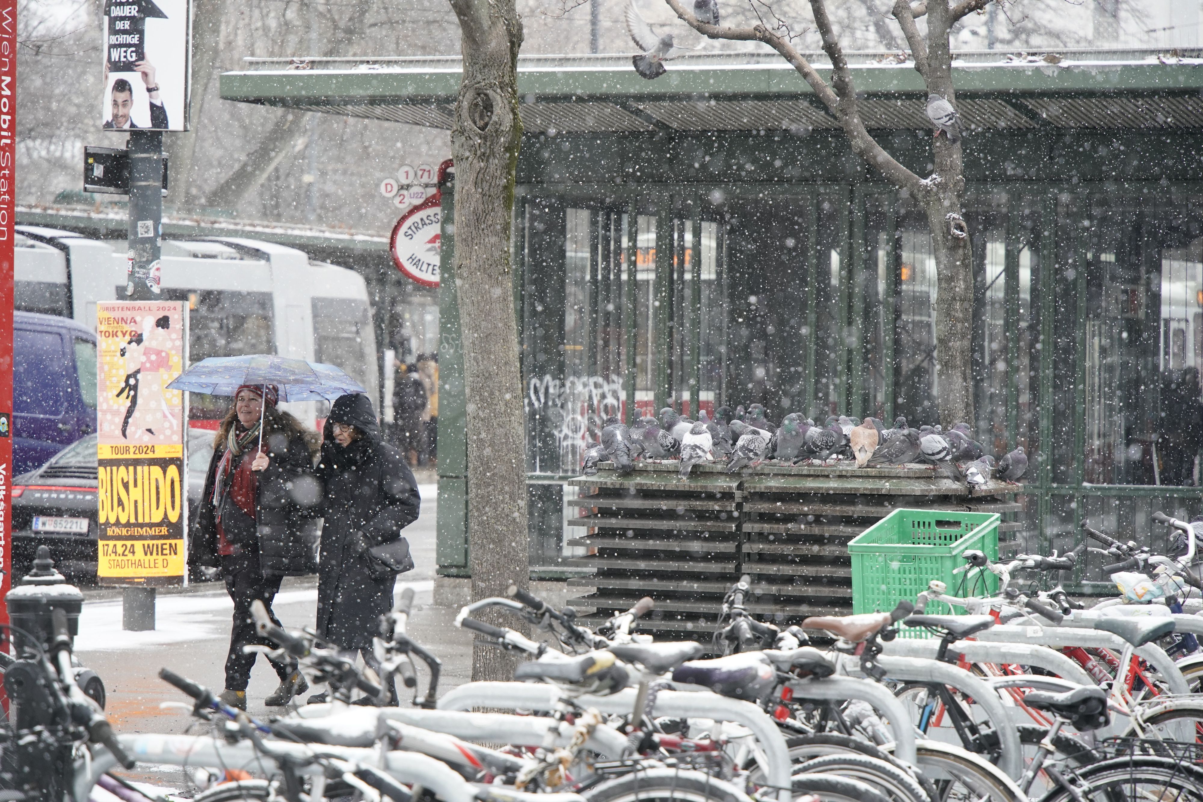 Auf Schnee in der Bundeshauptstadt müssen wir noch eine zeitlang warten. Archivbild.