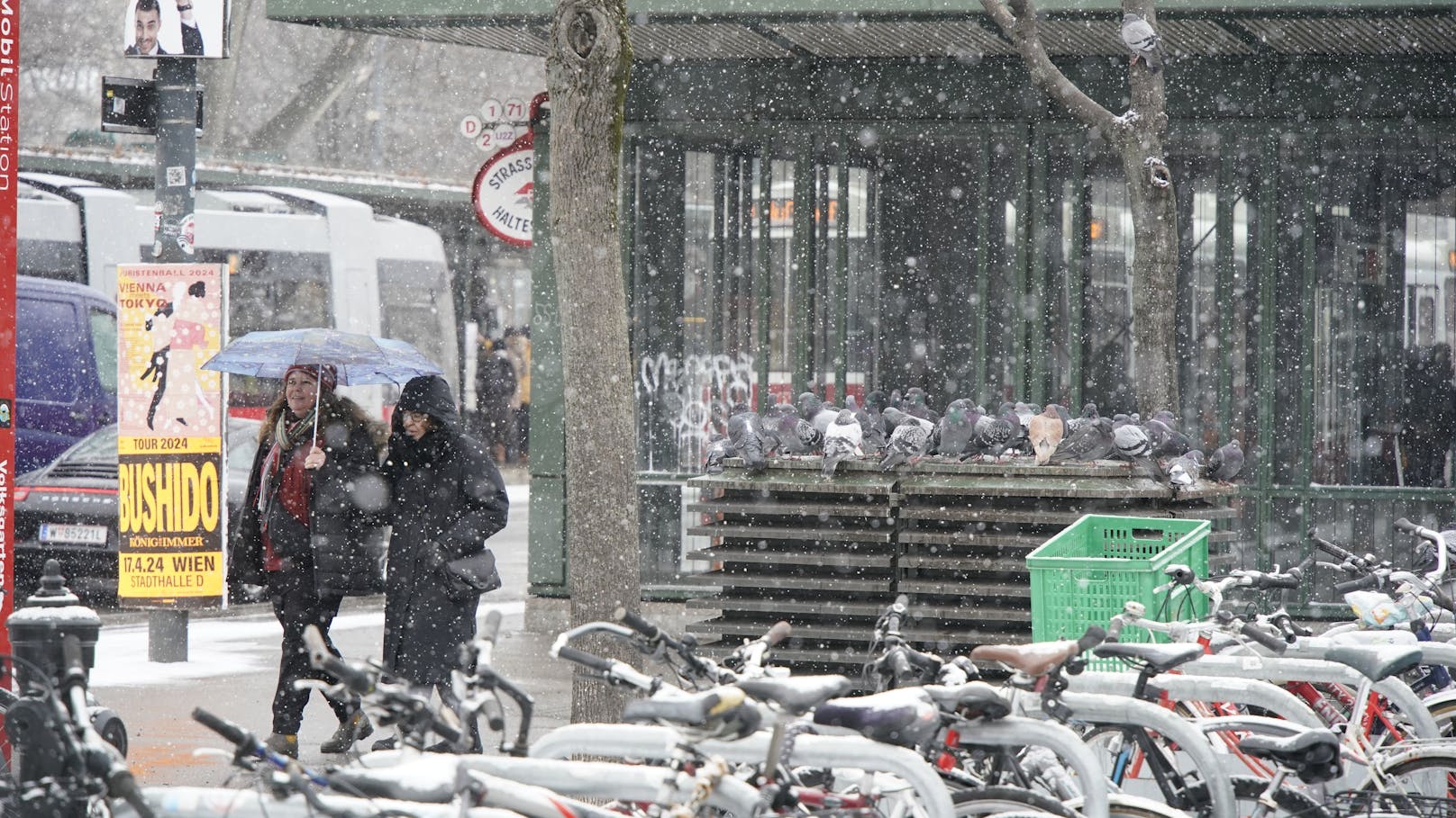 Eine Kälte-Welle rollt am Montag über Österreich und verwandelt die Alpenrepublik wieder in eine Winterlandschaft. Auch die Bundeshauptstadt wird wieder weiß.