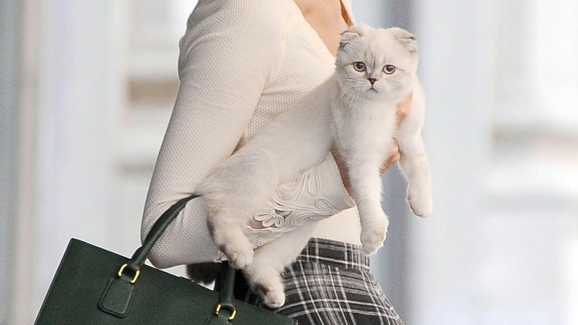 Download von www.picturedesk.com am 08.01.2024 (16:17).  ACT action_18988371 -- Taylor Swift verlaesst ihr Apartment in TriBeCa mit ihrer Katze Olivia Benson auf dem Arm / 160914 -- APA-PictureDesk garantiert, über die fotografischen Urheberrechte für die vereinbarte Verwendung durch den Kunden zu verfügen. Der Kunde selbst hat insbesondere die Persönlichkeitsrechte von abgebildeten Personen hinsichtlich den Bestimmungen des Landes, in dem die Nutzung vorgenommen werden soll, in eigener Verantwortung zu beachten (siehe Punkt 5 der Allgemeinen Geschäftsbedingungen). - 20140916_PD4582 - Rechteinfo: Rights Managed (RM) Fotografische Urheberrechte sind garantiert. Der Kunde selbst hat insbesondere die PersÃ¶nlichkeitsrechte der abgebildeten Personen in eigener Verantwortung zu beachten (AGBs Punkt 5).