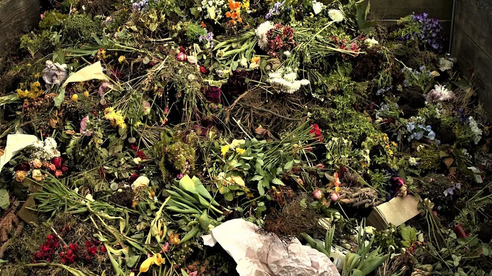 Mann wirft Blumen an Waldrand, muss harte Strafe zahlen