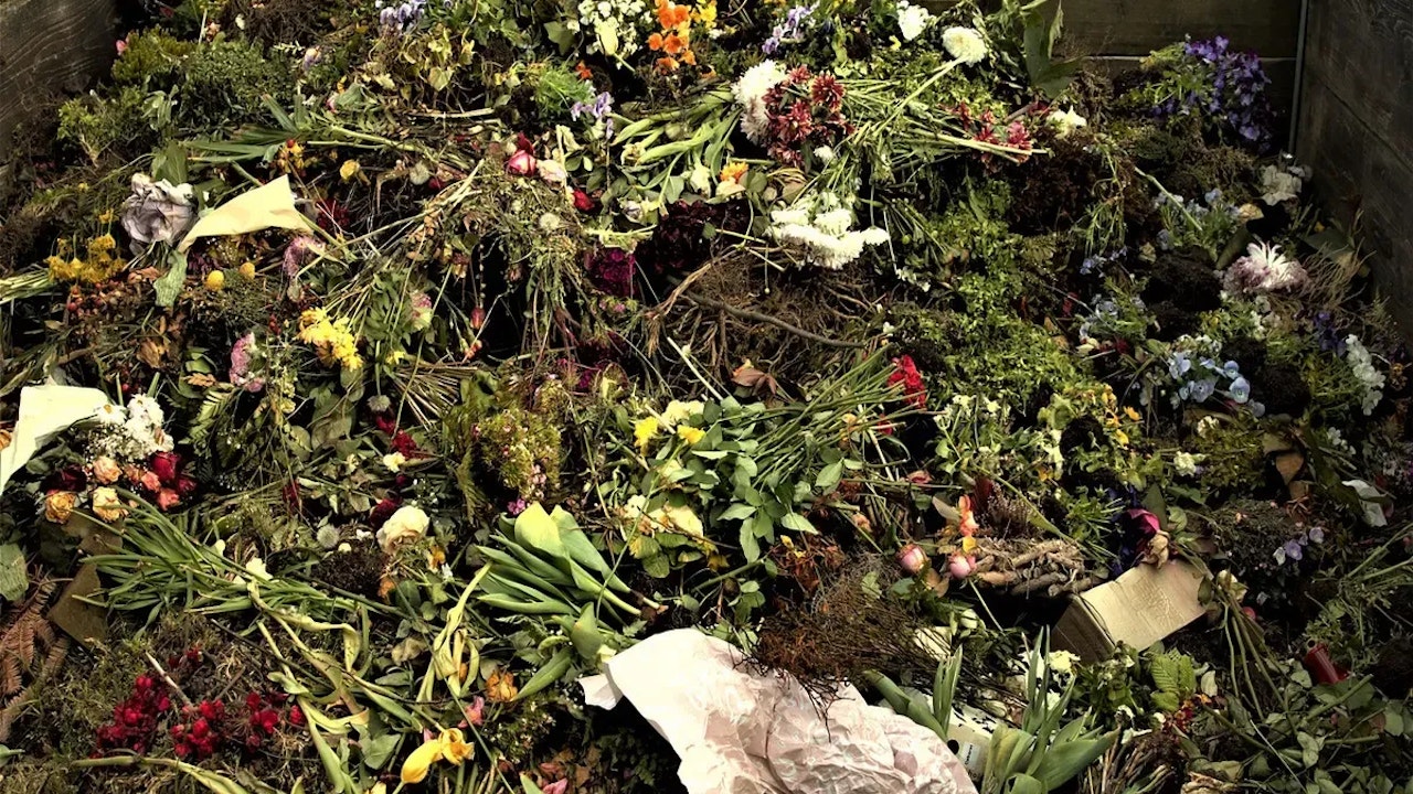 Heute.at - Mann wirft Blumen an Waldrand, muss harte Strafe zahlen