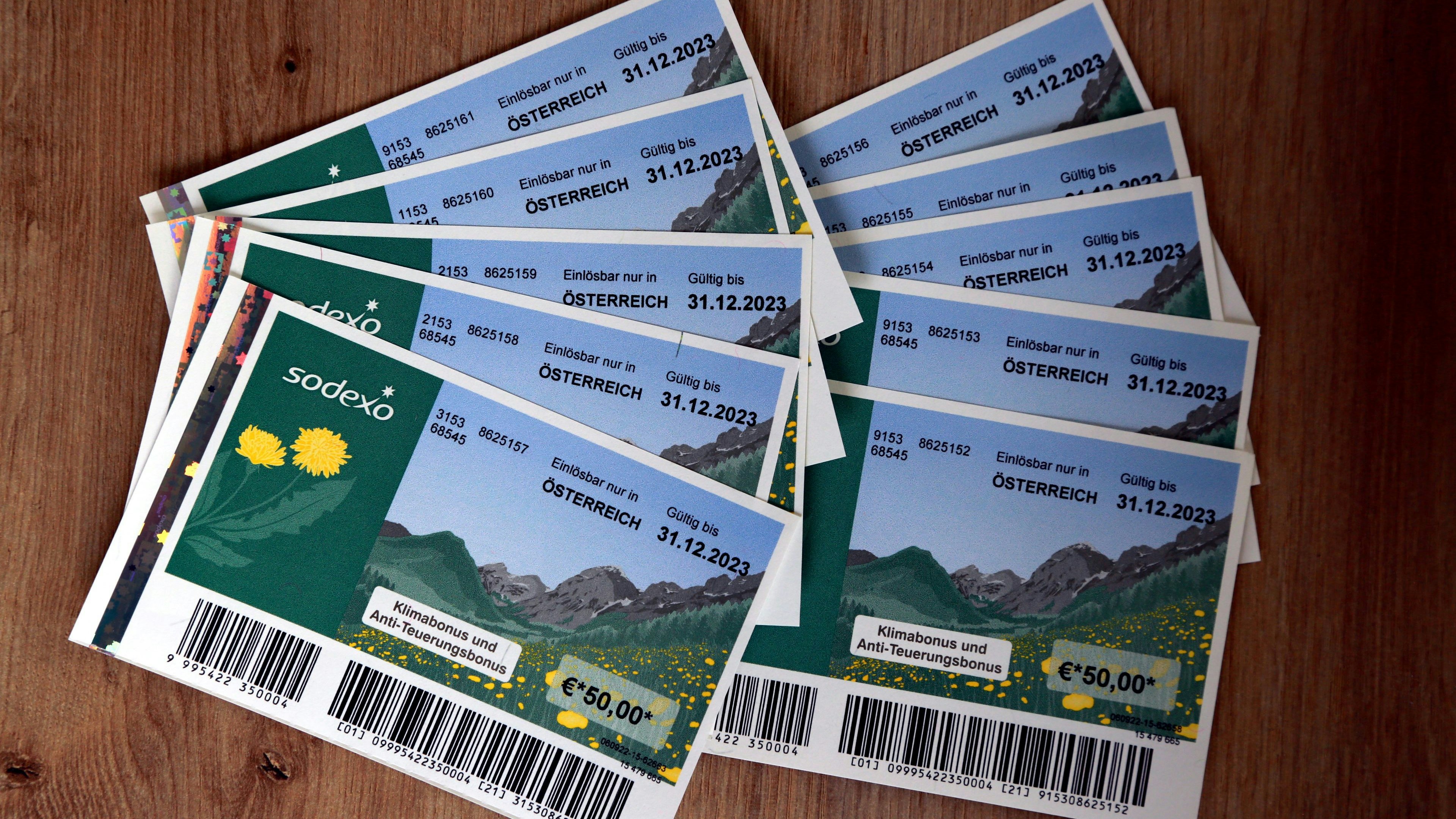 Der Klimabonus in Form von Sodexo-Gutscheinen.