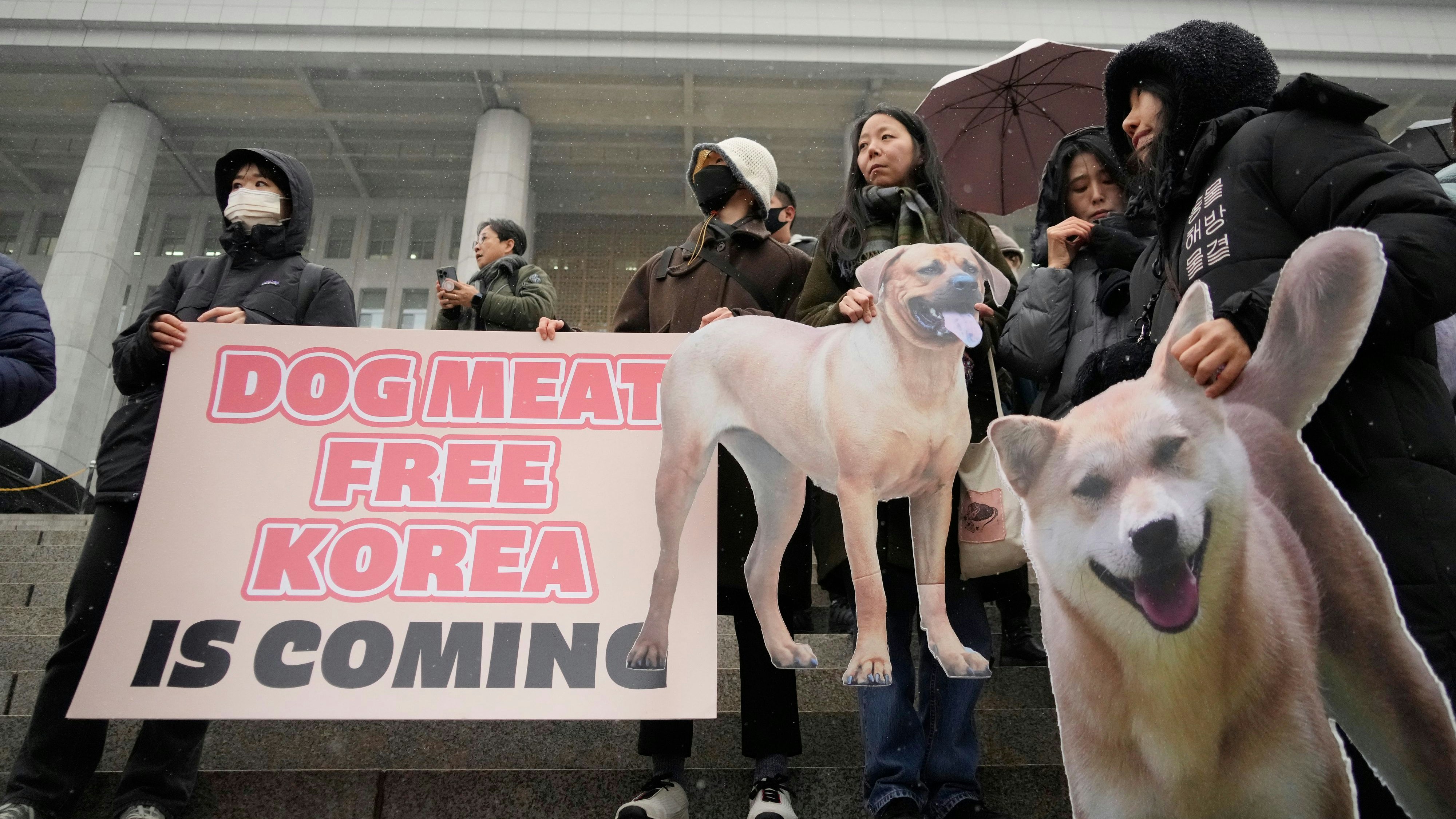 Download von www.picturedesk.com am 09.01.2024 (15:31).  Animal rights activists attend a protest rally supporting the government-led dog meat banning bill at the National Assembly in Seoul, South Korea, Tuesday, Jan. 9, 2024. South Korea's parliament on Tuesday passed a landmark ban on production and sales of dog meat, as public calls for a prohibition have grown sharply over concerns about animal rights and the country's international image. (AP Photo/Ahn Young-joon) - 20240109_PD1513 - Rechteinfo: Rights Managed (RM)