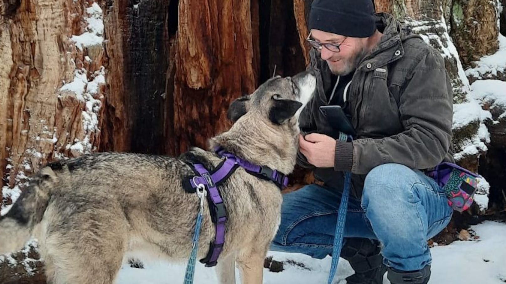 Mit elf Jahren! Hunde-Opi bekommt endlich ein Zuhause