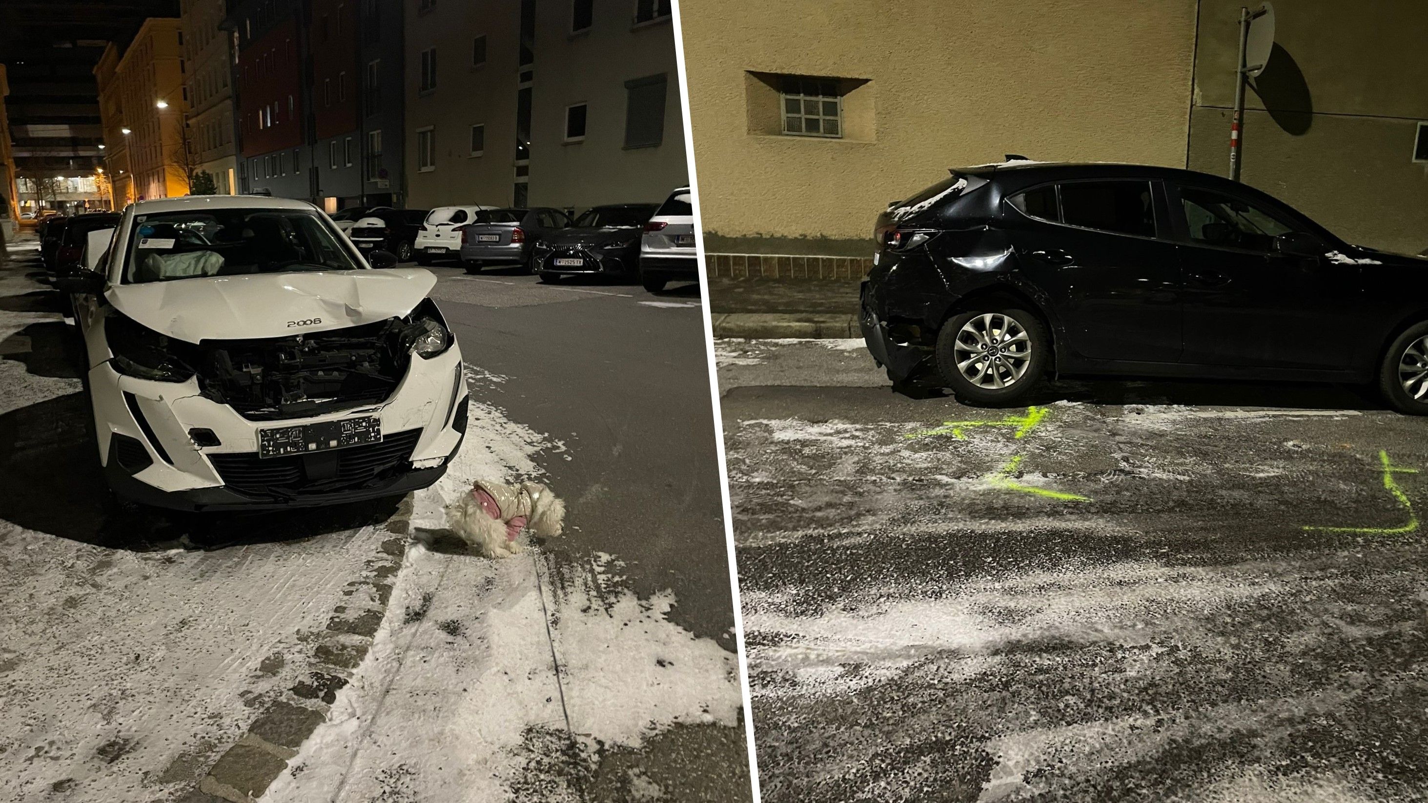 Nach einer illegalen Autofahrt durch Wien flüchtete der 17-Jährige Lenker und seine 13-jährige Freundin vom Unfallort.