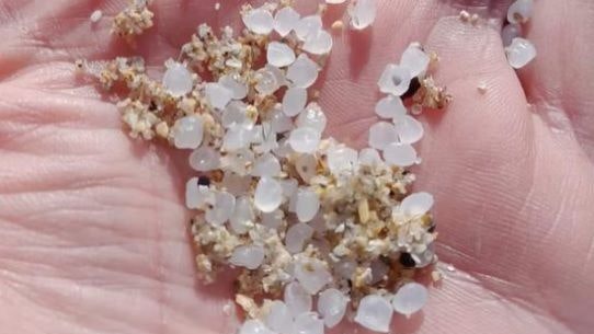 Die Teilchen sind größer als Sandkörner.