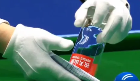 Der Schiri stülpte ein Glas über die Wespe, trug sie vom Snooker-Tisch.