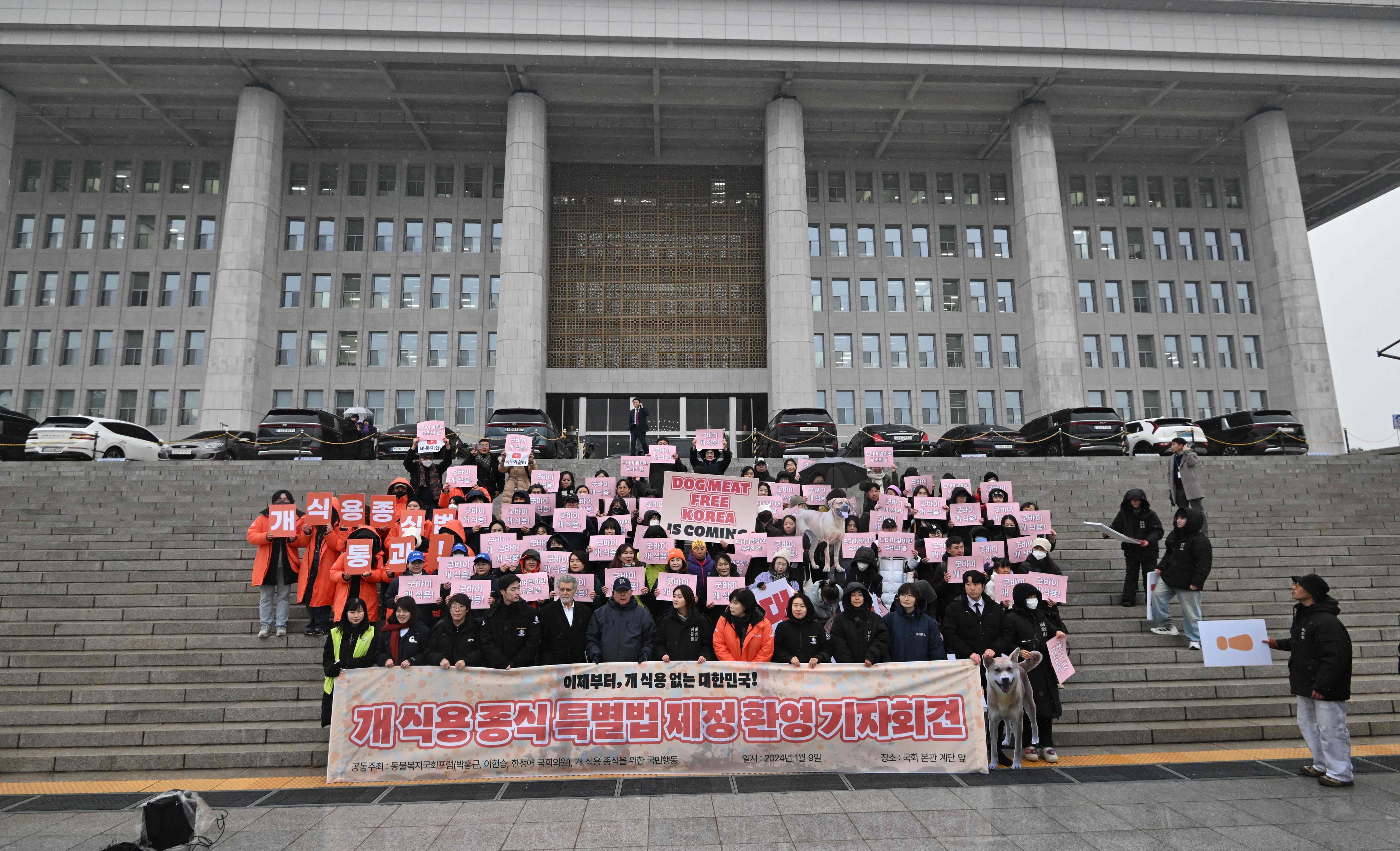 Tierschutzaktivisten in Seoul zeigen Plakate, auf denen 