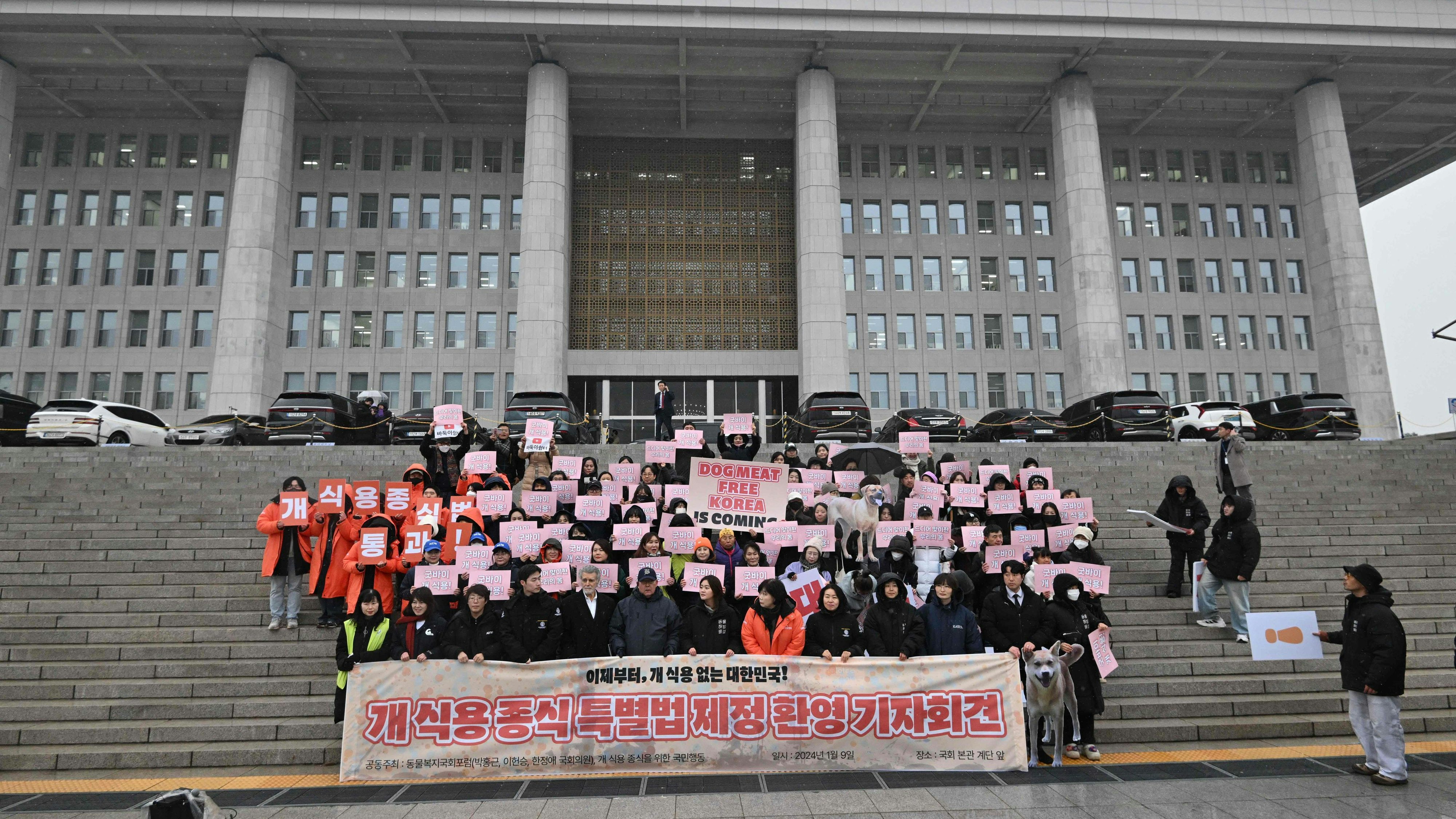 Tierschutzaktivisten in Seoul zeigen Plakate auf denen "Hundefleisch auf Wiedersehen" steht. 