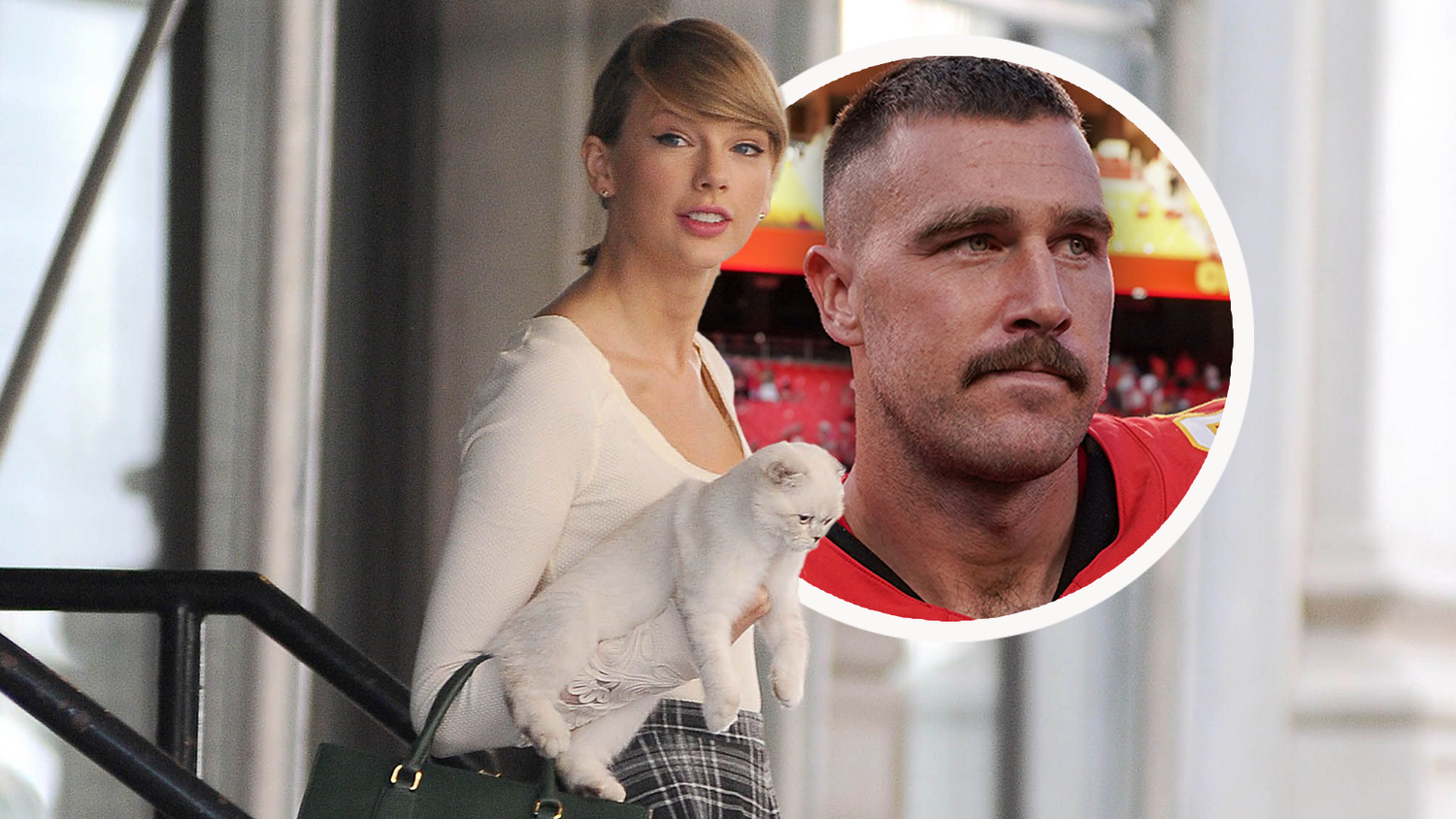 Taylor Swift kommt aus den Rekorden nicht mehr heraus: Ihre Katze ist das drittreichste Haustier der Welt.