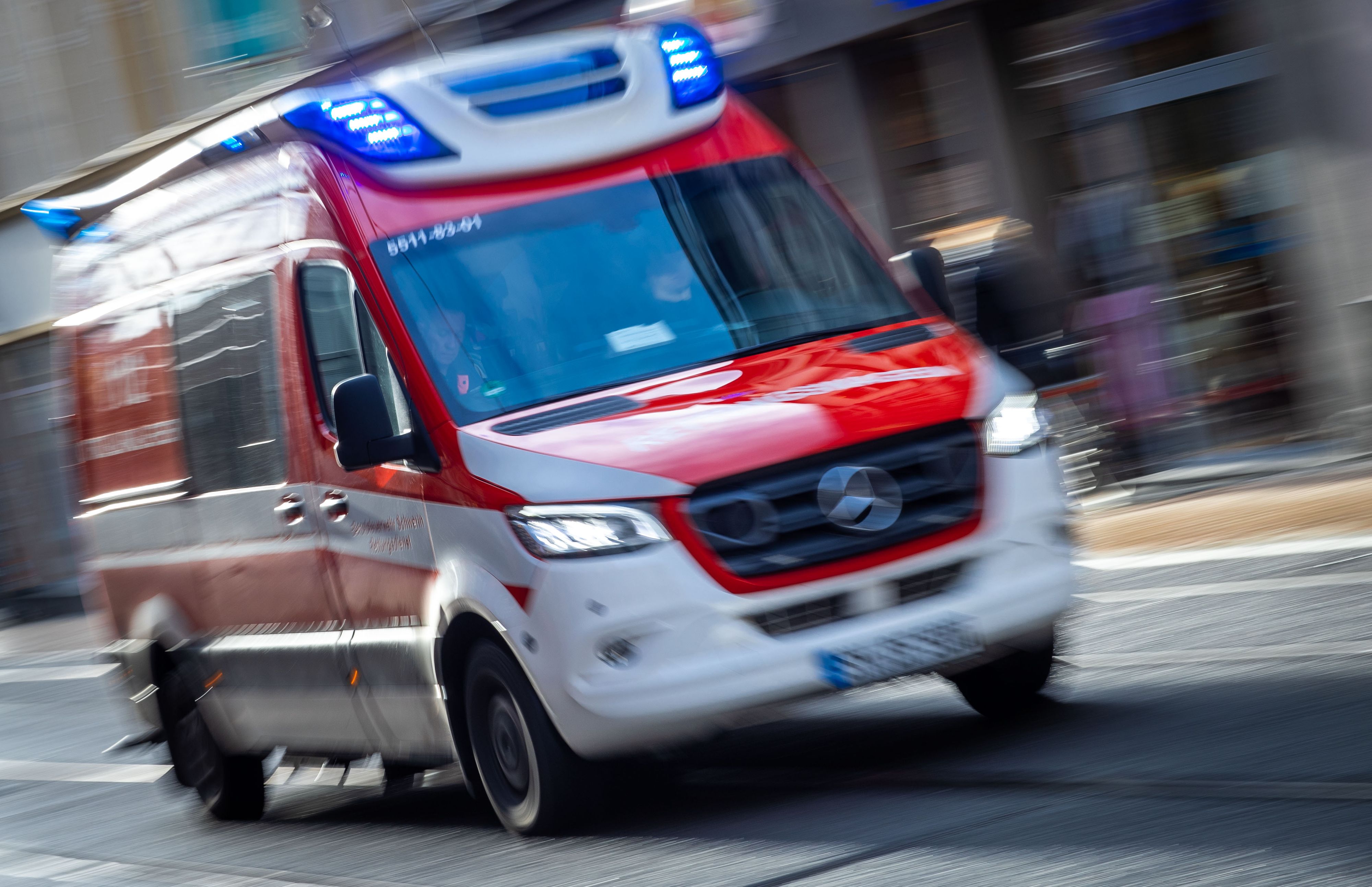 Rettungskräfte brachten die Frau in ein Spital. Dort starb sie nach mehreren Hundebissen und einer starken Unterkühlung. (Symbolbild)