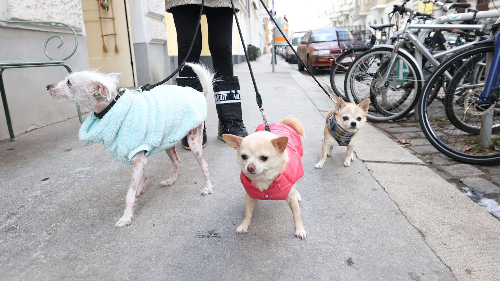 So kann es warm auf den Winterspaziergang gehen. 