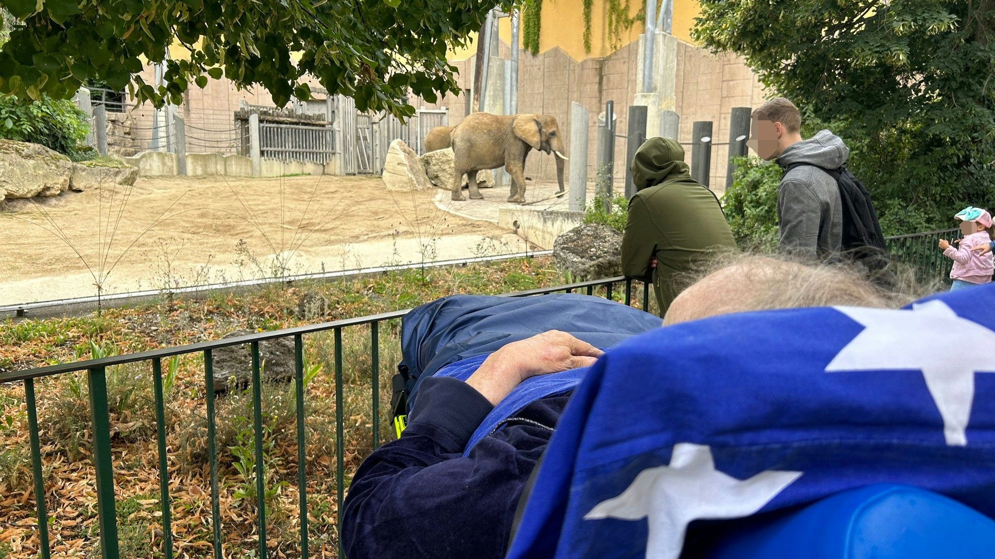 Der sehnlichste Wunsch der arg angeschlagenen 83-Jährigen wurde erfüllt. Nun ist sie gestorben. 