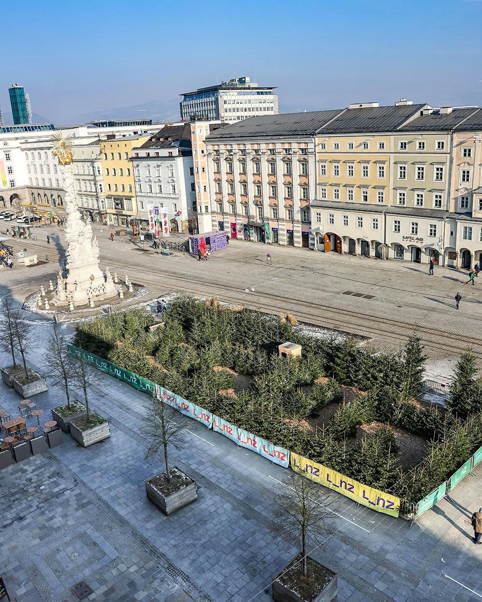 In Linz wurde ein Wald aus 300 alten Christbäumen gebaut. Das Labyrinth ist die jüngste Attraktion im Herzen der Stadt.