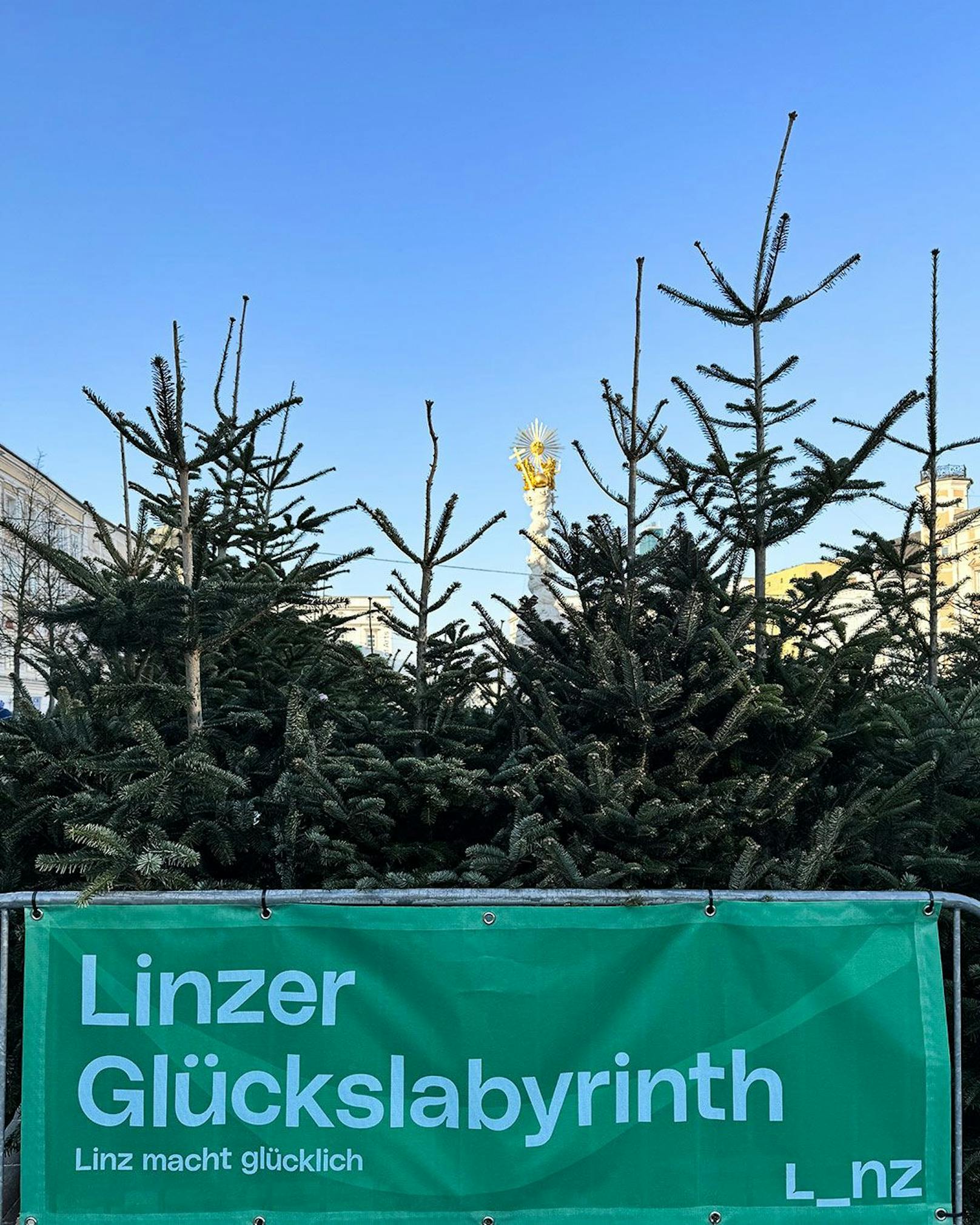 In Linz wurde ein Wald aus 300 alten Christbäumen gebaut. Das Labyrinth ist die jüngste Attraktion im Herzen der Stadt.