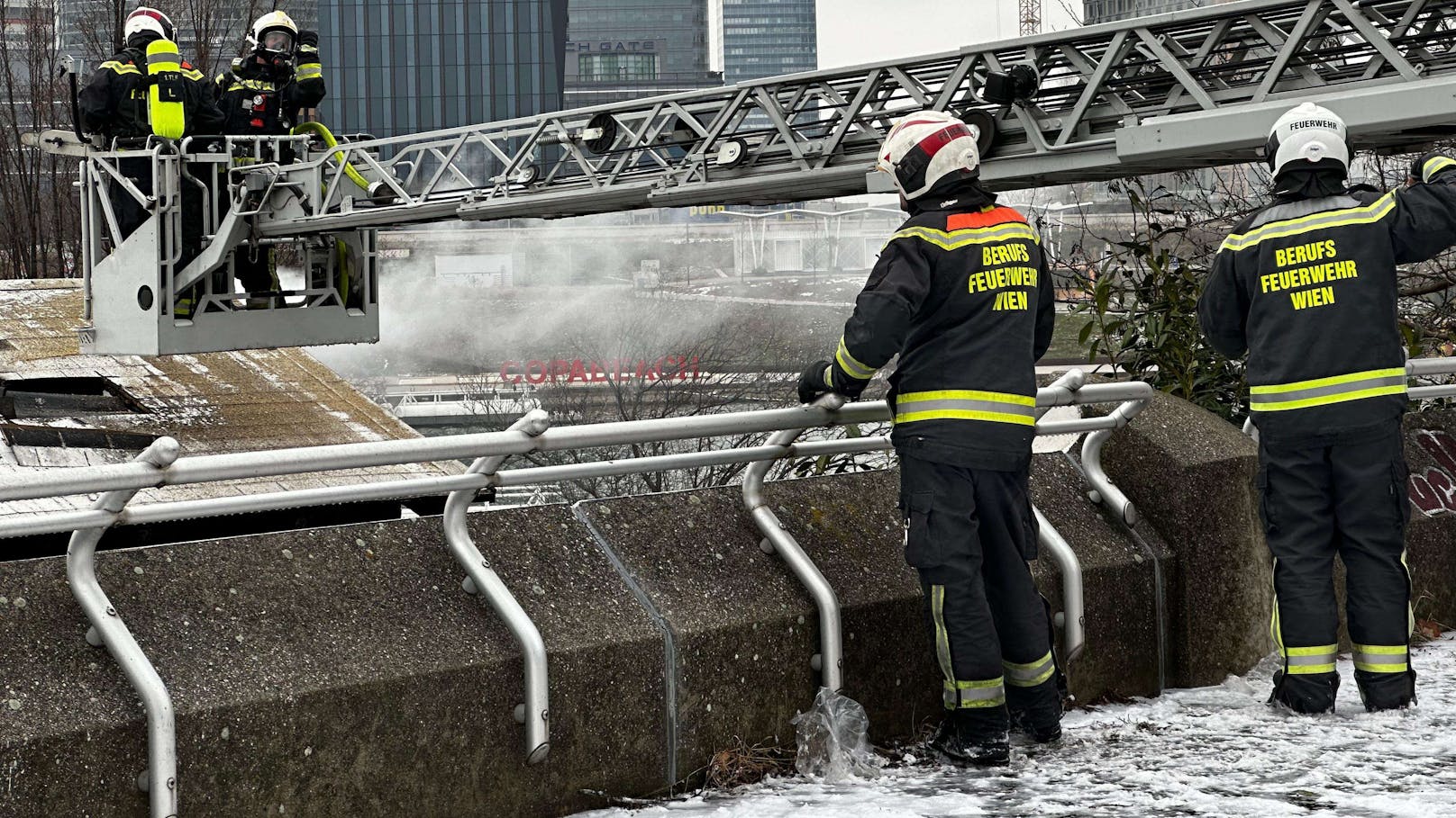 Brand auf der Donauinsel