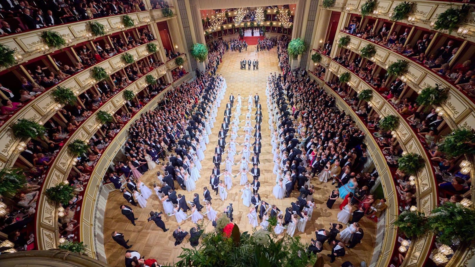 Wiener Opernball 2024 – das ist der genaue Fahrplan