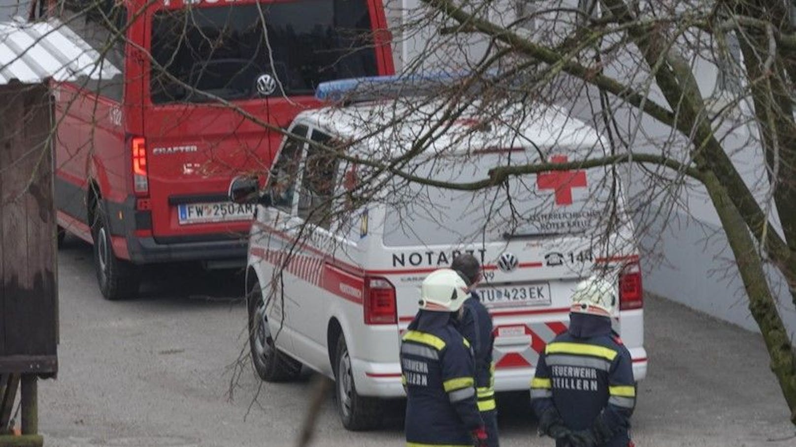 Silvester-Drama: Forstarbeiter (30) von Baum erschlagen