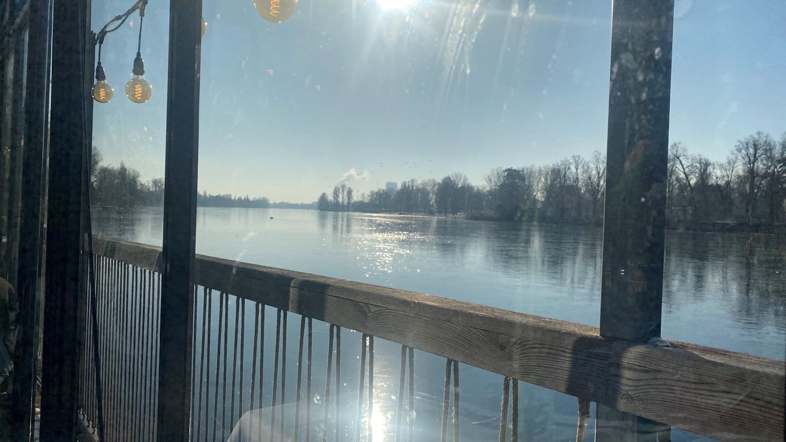 Scheint die Sonne, wird es im Glashaus schön warm und der Heizstrahler bleibt aus. Draußen können die Vögel beobachtet werden, die über die zugefrorene Alte Donau spazieren.