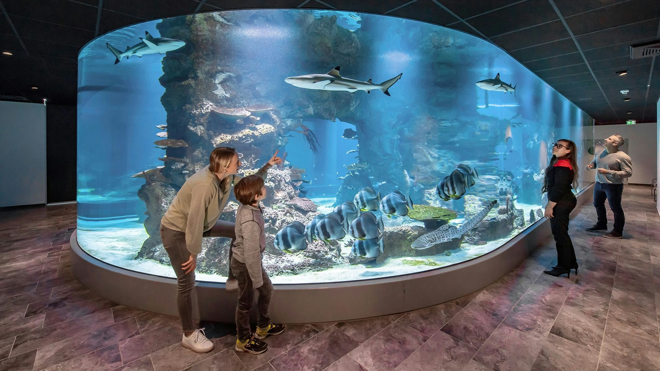 Heute.at - Zum ersten Mal dürfen Kinder im Sommer zu den Fischen