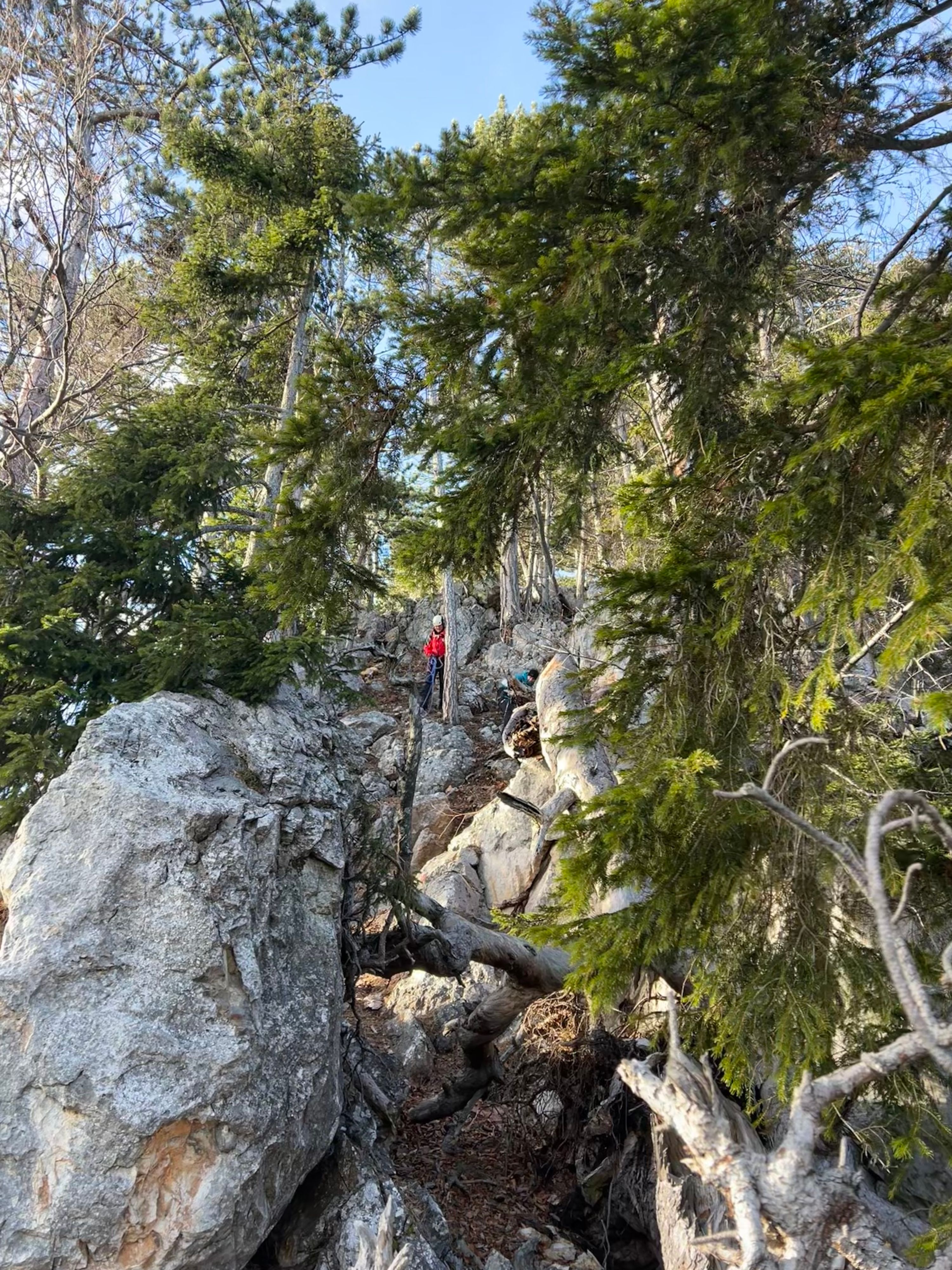 Bergrettungseinsatz in NÖ