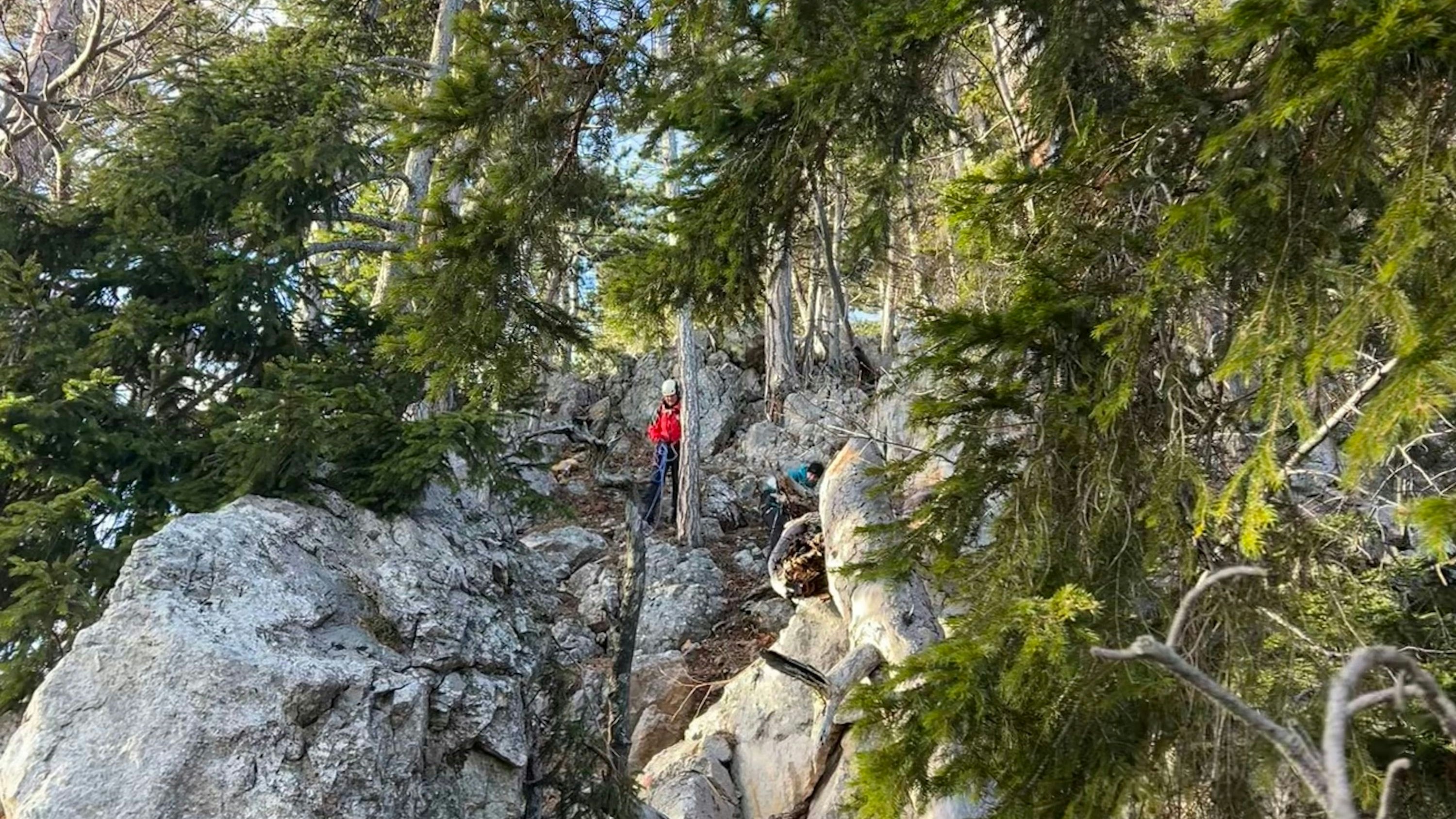 Bergrettungseinsatz in NÖ