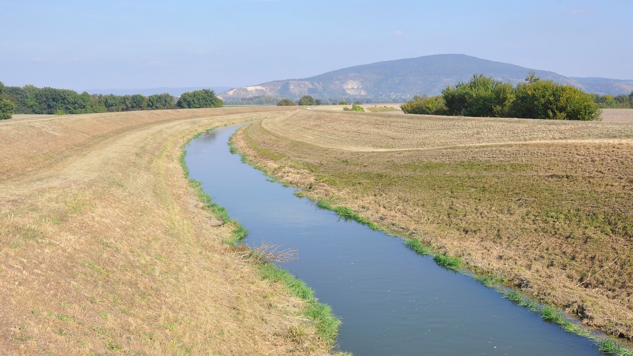 Heute.at - Mord-Alarm in Wien! Menschliche Überreste entdeckt