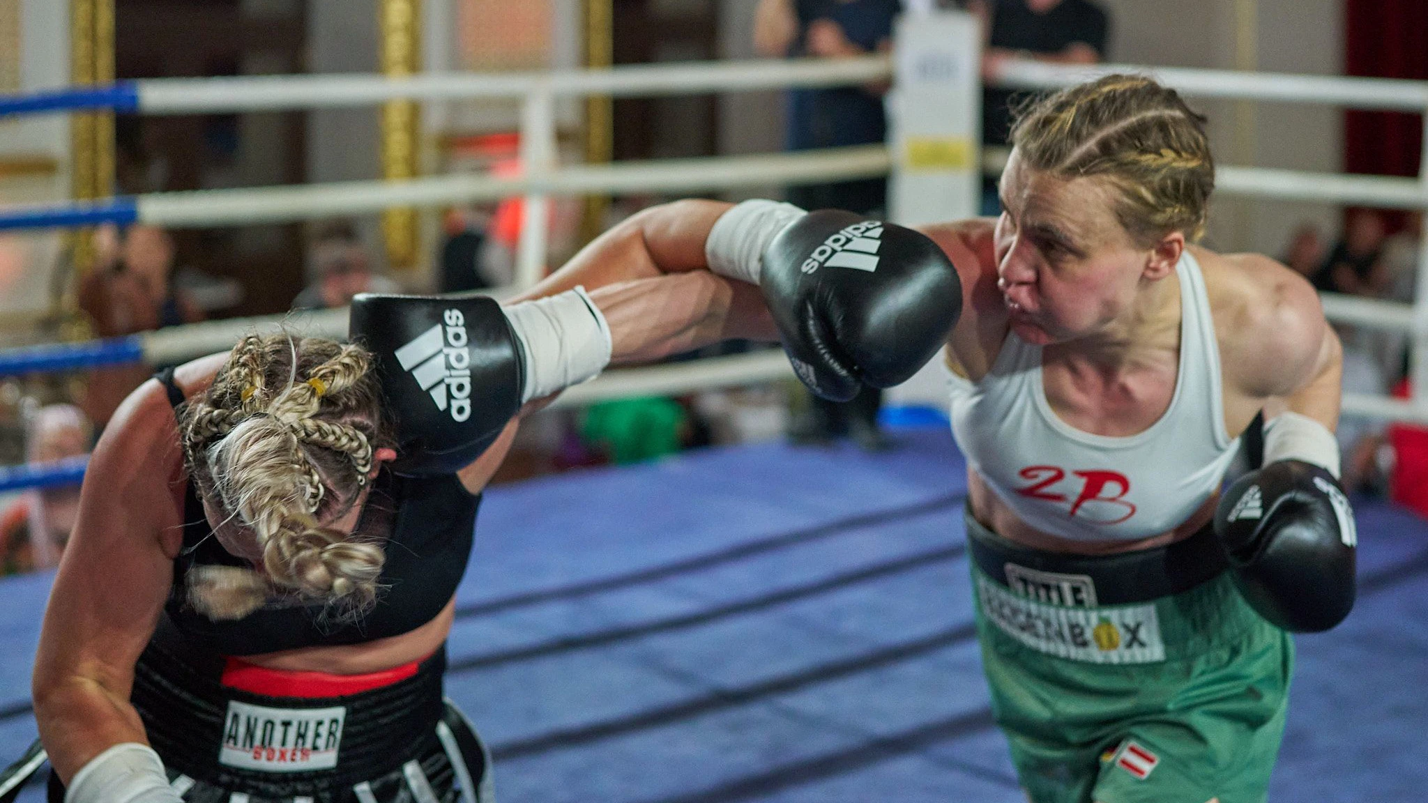 Statt in Wien fliegen gegen Pavlovic in München die Handschuhe.