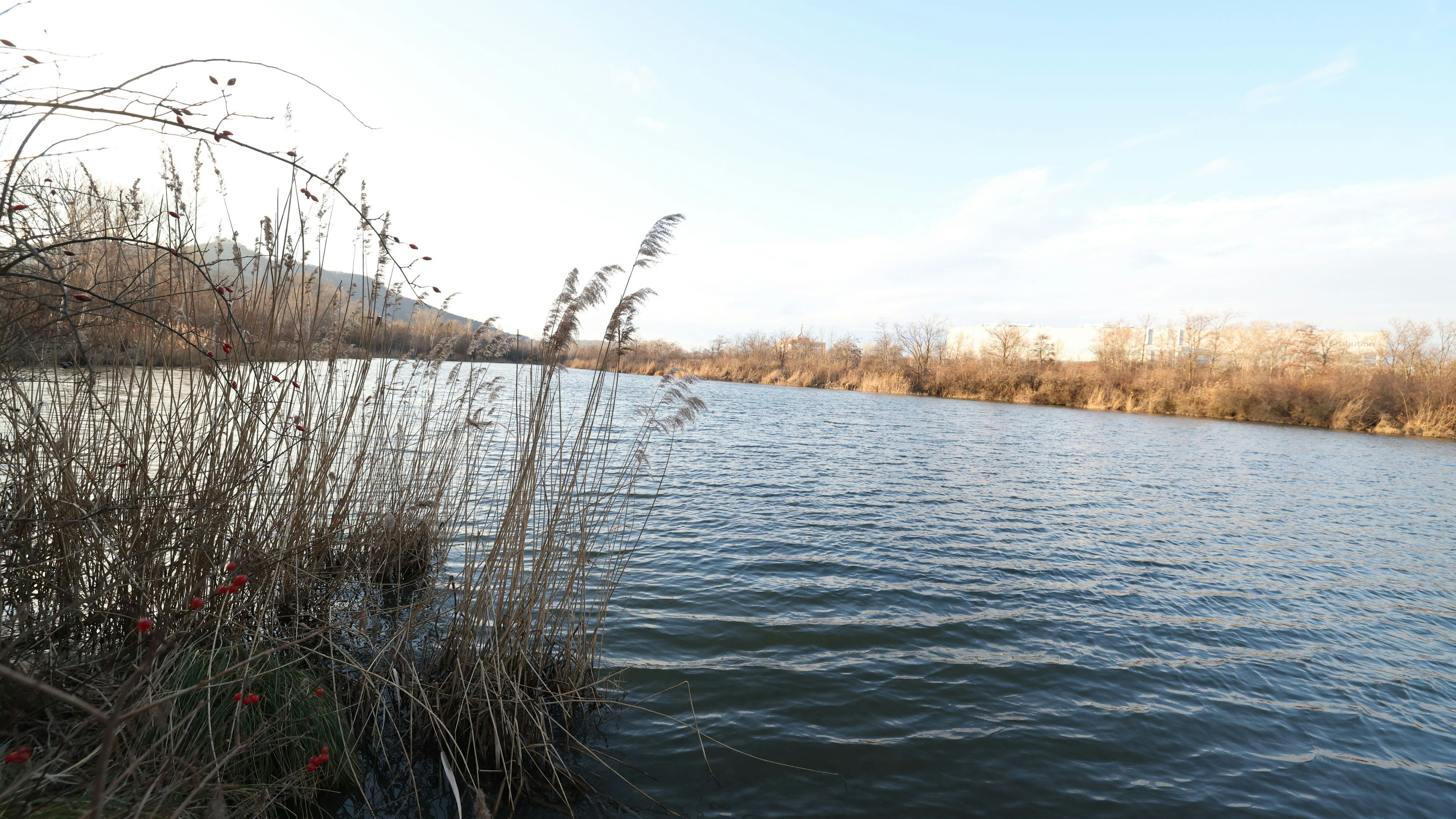 Fischer fand Leichenteil im Marchfeldkanal in Wien. 