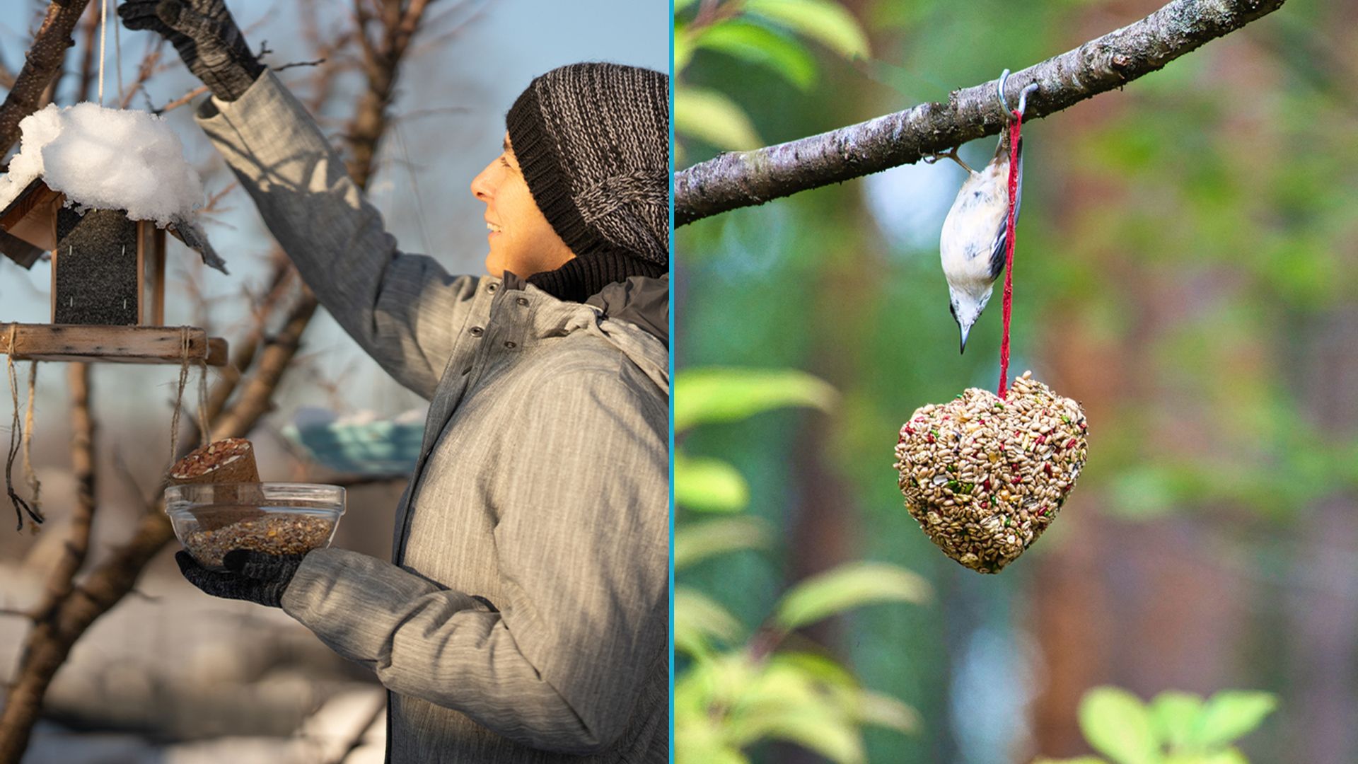 Wie kann ich welche Tiere im Garten anlocken?&nbsp;