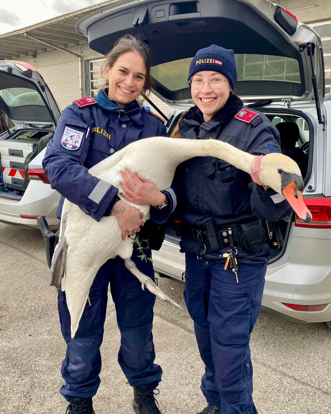 Der Schwan mit seinen Retterinnen Sabrina und Stefanie von der Polizei Schärding