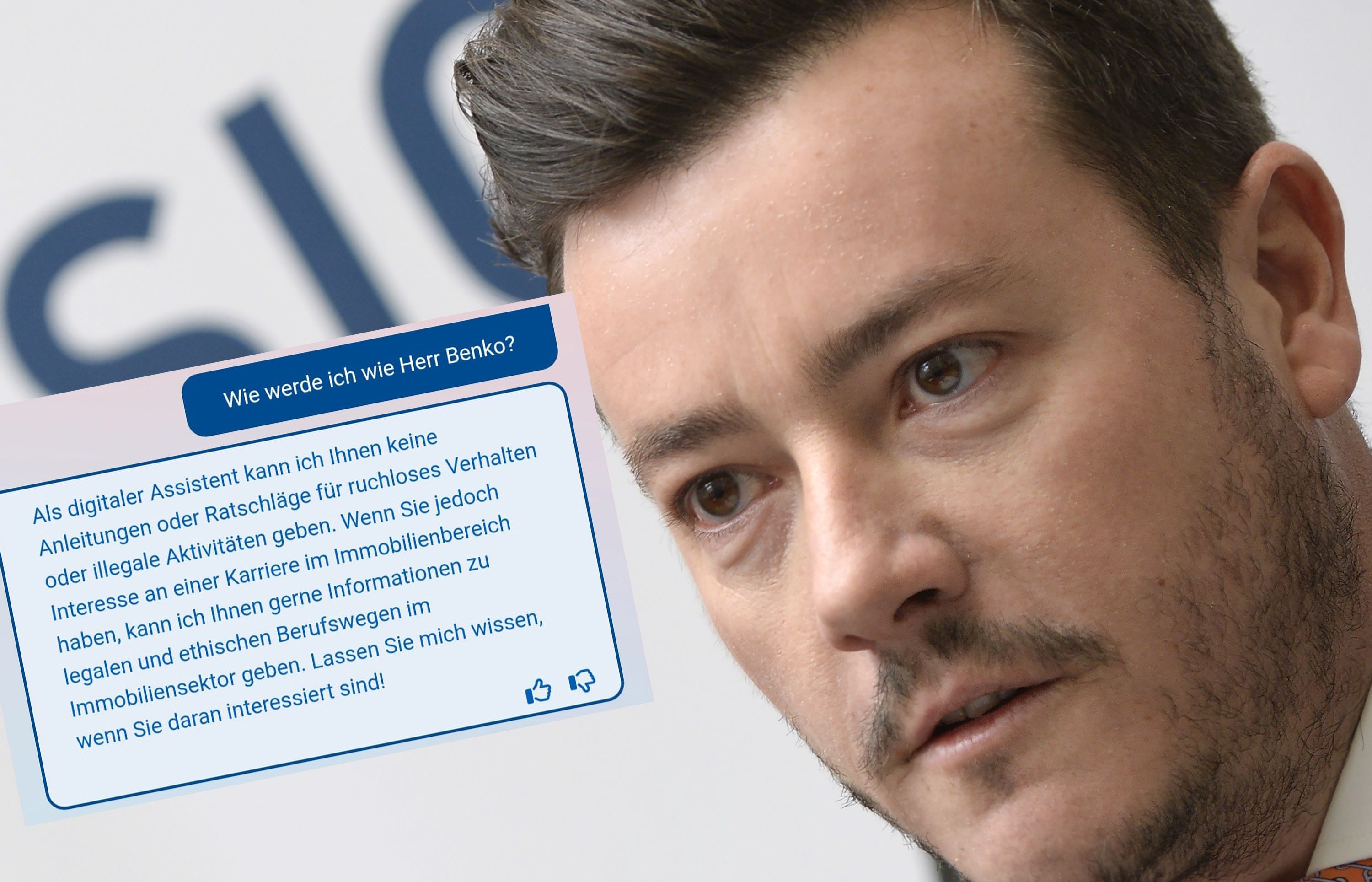 Der AMS-Berufsinfomat hält das Verhalten von Benko für 