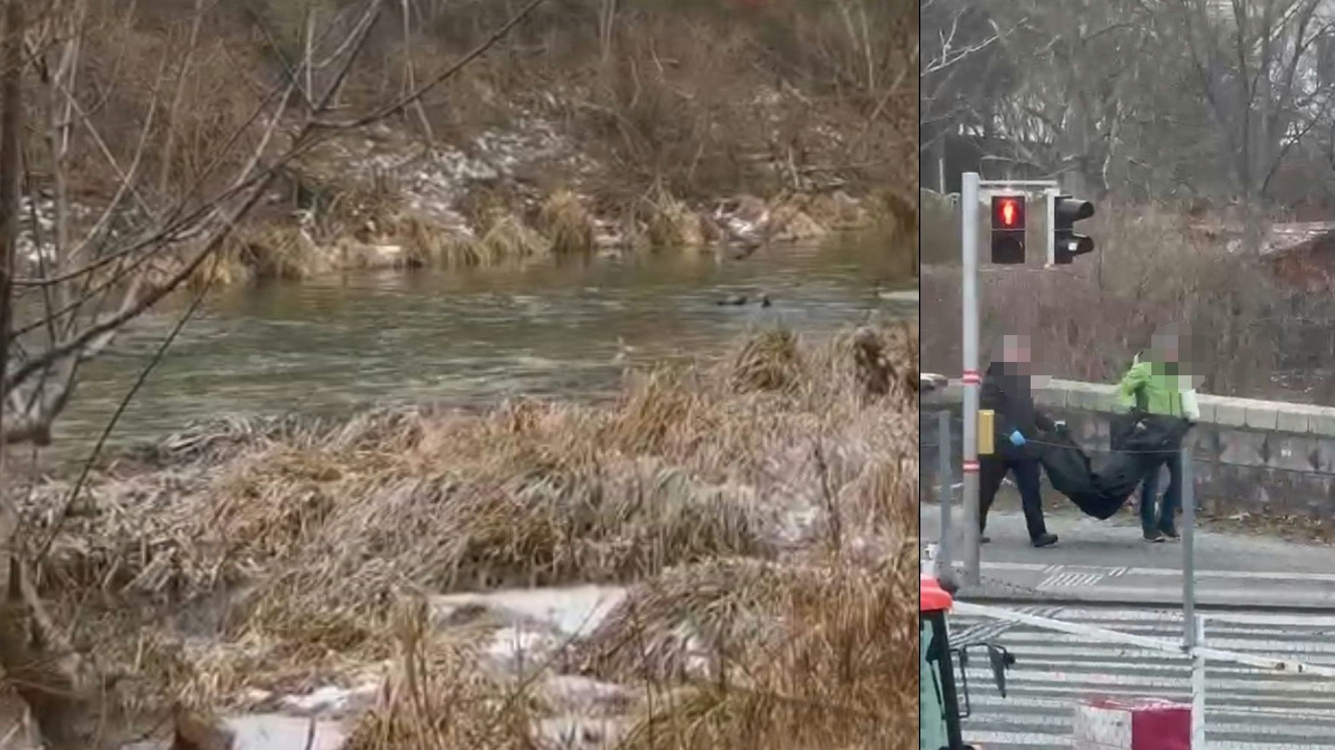 Seit Tagen sind Taucher in Floridsdorf im Einsatz. Am Montag wurde ein weiterer Fund sichergestellt.