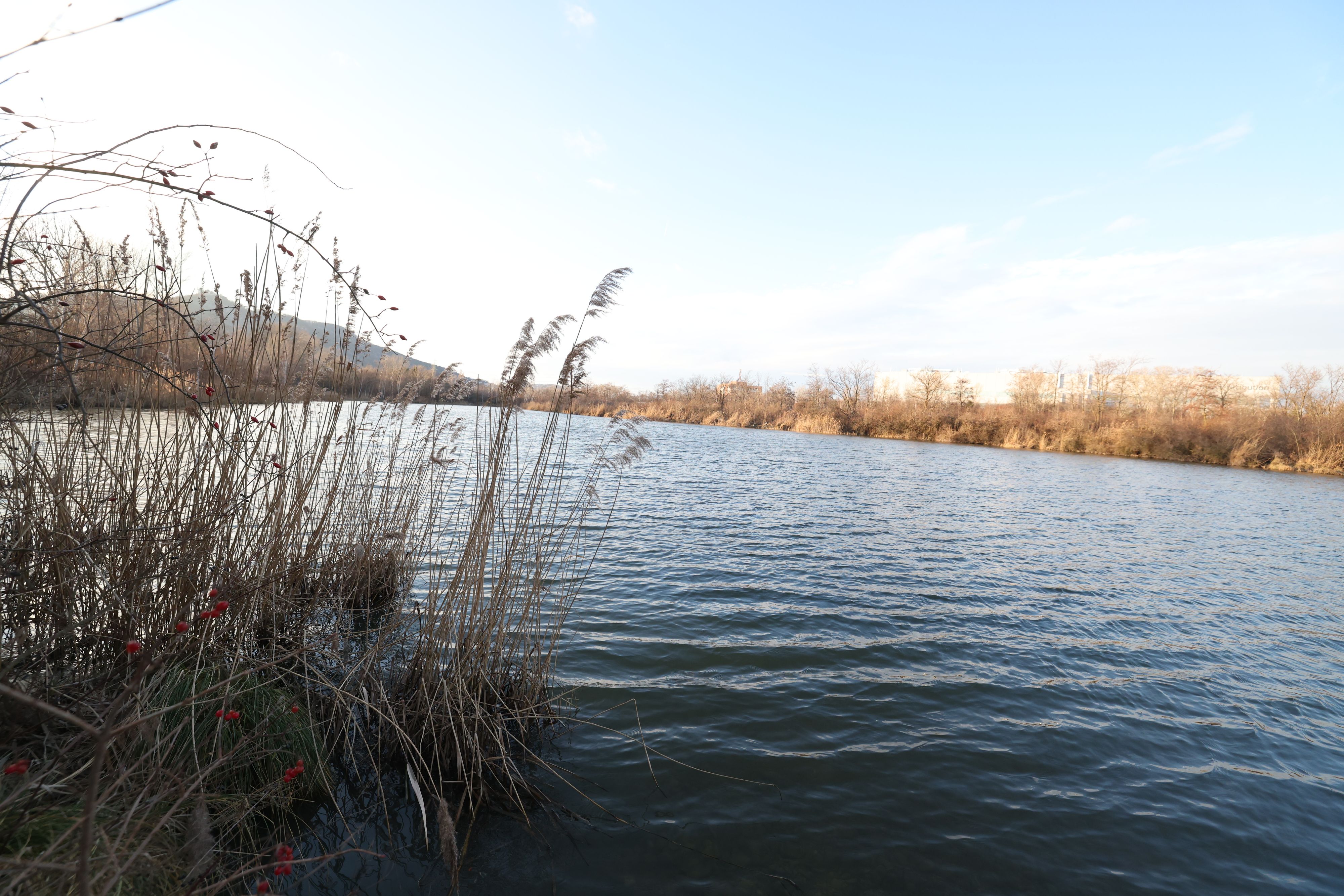 Der Leichen-Fundort im Marchfeldkanal in Wien-Floridsdorf.