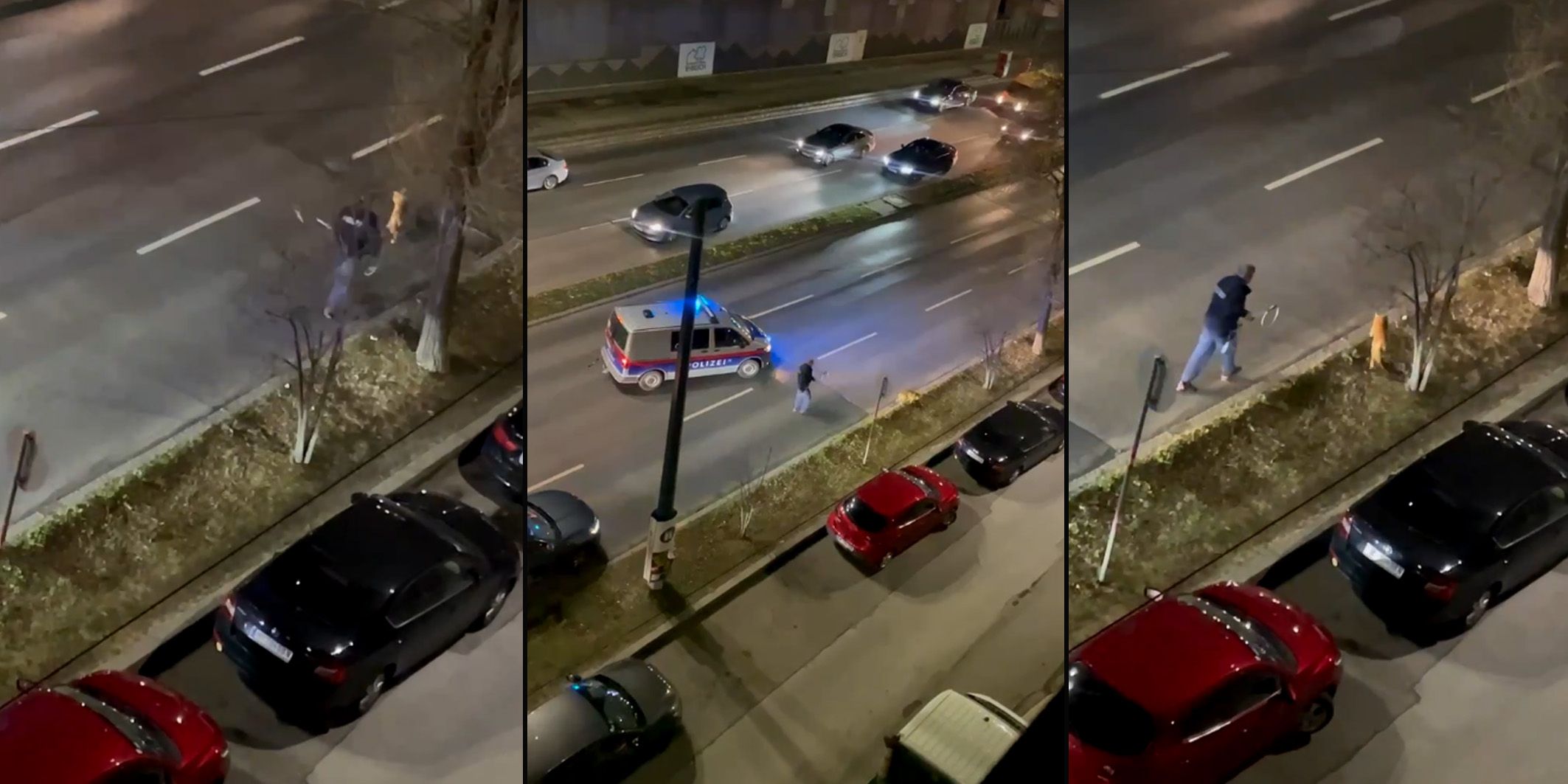 Dieser Fuchs hat sich offenbar verlaufen. Die Polizei versuchte alles um den Vierbeiner zu retten.