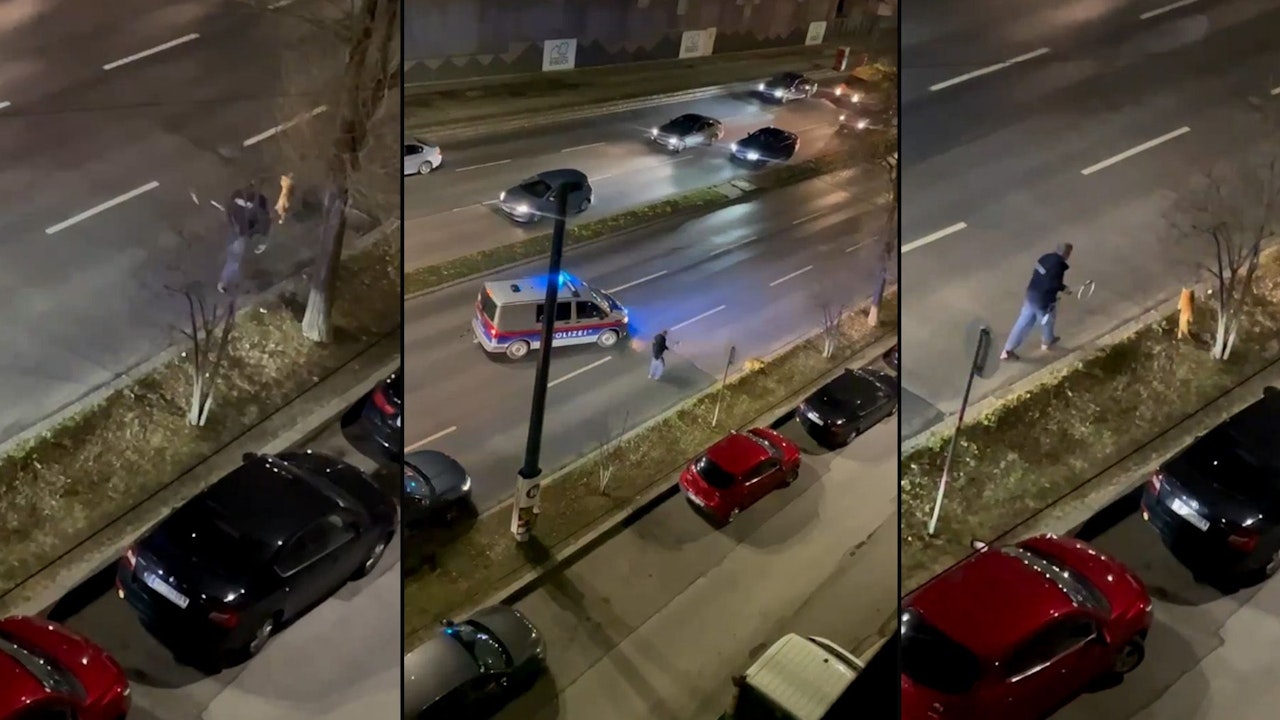 Heute.at - Polizist läuft Fuchs mit Fangstock auf Straße hinterher