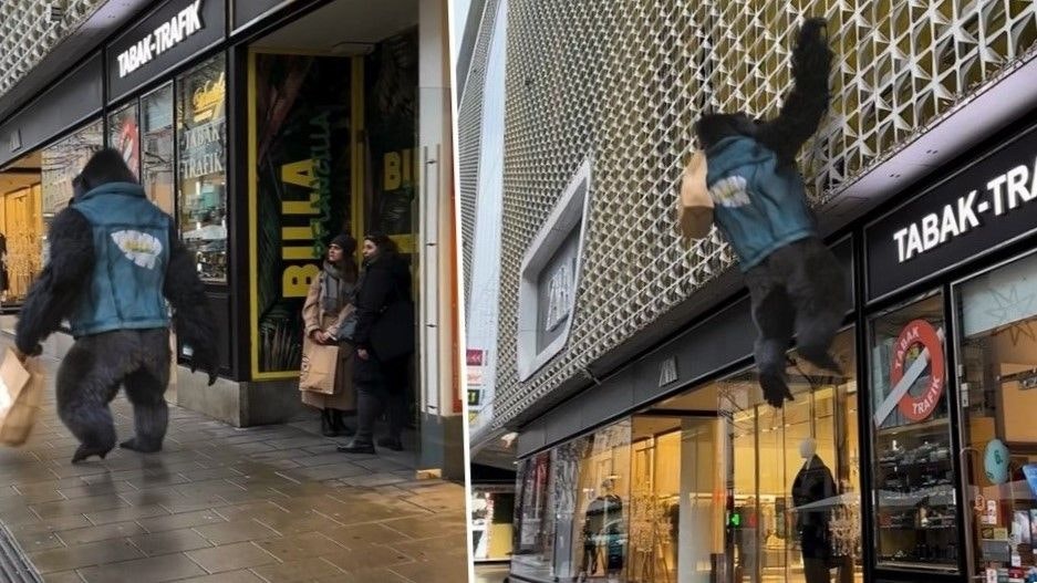 Monster-Alarm? "Gorilla" klettert über Wiener Mahü